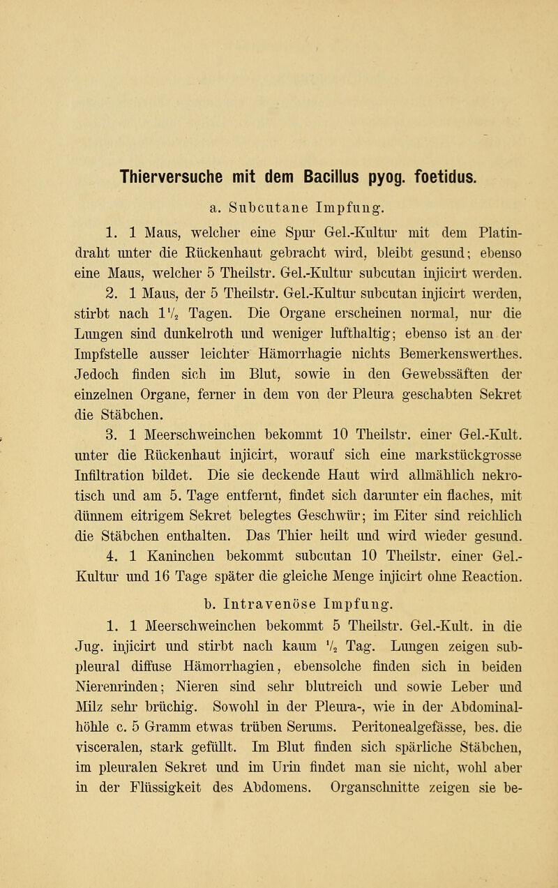 a. Subcutane Impfung. 1. 1 Maus, welcher eine Spui' Gel.-Kultur mit dem Platin- dralit unter die Rückenliaut gebracht wird, bleibt gesund; ebenso eine Maus, welcher 5 Theilstr. Gel.-Kultur subcutan injicirt werden. 2. 1 Maus, der 5 Theilstr. Gel.-Kultur subcutan injicirt werden, stirbt nach VU Tagen. Die Organe erscheinen normal, nur die Lungen sind dunkelroth und weniger lufthaltig; ebenso ist an der Impfstelle ausser leichter Hämorrhagie nichts Bemerkenswerthes. Jedoch finden sich im Blut, sowie in den Gewebssäften der einzebien Organe, ferner in dem von der Pleura geschabten Sekret die Stäbchen. 3. 1 Meerschweinchen bekommt 10 Theilstr. einer Gel.-Kult. unter die Rückenhaut injicirt, worauf sich eine markstückgrosse Infiltration bildet. Die sie deckende Haut wü^d allmählich nekro- tisch und am 5. Tage entfernt, findet sich darunter ein flaches, mit dünnem eitrigem Sekret belegtes Geschwür; im Eiter sind reiclüich die Stäbchen enthalten. Das Thier heilt und wird wieder gesund. 4. 1 Kaninchen bekommt subcutan 10 Theilstr. einer Gel.- Kultur und 16 Tage später die gleiche Menge injicirt ohne Eeaction. b. Intravenöse Impfung. 1. 1 Meerschweinchen bekommt 5 Theilstr. Gel.-Kult. üi die Jug. injicirt und stirbt nach kaum Va Tag. Lungen zeigen sub- pleural diffuse Hämorrhagien, ebensolche finden sich in beiden Nierenriuden; Nieren sind sehr blutreich und sowie Leber und Milz sehi' brüchig. Sowohl in der Pleura-, me in der Abdominal- höhle c. 5 Gramm etwas trüben Serums. Peritonealgefässe, bes. die visceralen, stark gefüllt. Im Blut finden sich spärliche Stäbchen, im pleuralen Sekret und im Urin findet man sie nicht, wohl aber in der Flüssigkeit des Abdomens. Organsclmitte zeigen sie be-