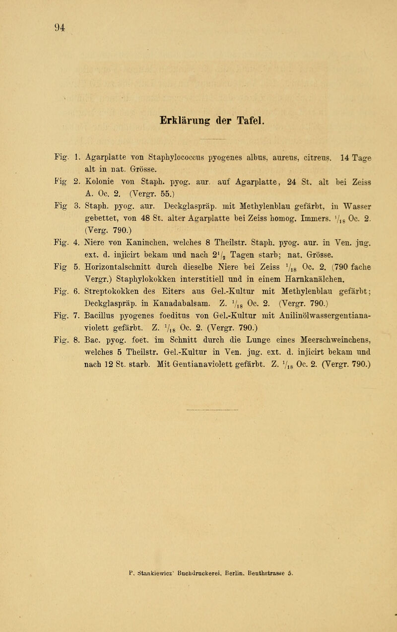 Erklärung der Tafel. Fig. 1. Agarplatfce von Staphylococctis pyogenes albus, aureus, citreus. 14 Tage alt in nat. Grösse. Fig 2. Kolonie von Staph. pyog. aur. auf Agarplatte, 24 St. alt bei Zeiss A. Oc. 2. (Vergr. 55.) Fig 3. Staph. pyog. aur. Deckglaspräp. mit Methylenblau gefärbt, in Wasser gebettet, von 48 St. alter Agarplatte bei Zeiss bomog. Imniers. '/,g Oc. 2. (Verg. 790.) Fig. 4. Niere von Kaninchen, welches 8 Theilstr. Staph. pyog. aur. in Ven. jug. ext. d. injicirt bekam und nach 2'/2 Tagen starb; nat. Grösse. Fig 5. Horizontalschnitt durch dieselbe Niere bei Zeiss Vis Oc. 2. (790 fache Vergr.) Staphylokokken interstitiell und in einem Hamkanälchen. Fig. 6. Streptokokken des Eiters aus Gel.-Kultur mit Methylenblau gefärbt; Deckglaspräp. in Kanadabalsam. Z. Vis ^c. 2. (Vergr. 790.) Fig. 7. Bacillus pyogenes foeditus von Gel.-Kultur mit Anilinölwassergentiana- violett gefärbt. Z. Vis Oc. 2. (Vergr. 790.) Fig. 8. Bac. pyog. foet. im Schnitt durch die Lunge eines Meerschweinchens, welches 5 Theilstr. Gel.-Kultur in Ven. jug. ext. d. injicirt bekam und nach 12 St. starb. Mit Genti an aviolett gefärbt. Z. Vis Oc. 2. (Vergr. 790.) P. Stanlcie\vic2' Bucbdrnckerei, Berlin, Benthstrasse 5.