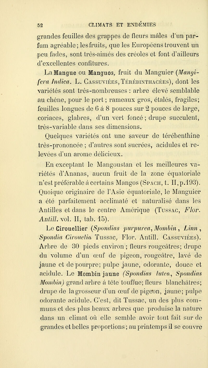 grandes feuilles des grappes de fleurs mâles d'un par- fum agréable; les fruits, que les Européens trouvent un peu fades, sont trés-aimés des créoles et font d'ailleurs d'excellentes confitures. La Mangue ou Manguos, fruit du Manguier {Mangi- fera hidica. L. Gassuviées,Térébinthacées), dont les variétés sont très-nombreuses : arbre élevé semblable au chêne, pour le port ; rameaux gros, étalés, fragiles; feuilles longues de 6 à 8 pouces sur 2 pouces de large, coriaces, glabres, d'un vert foncé ; drupe succulent, très-variable dans ses dimensions. Quelques variétés ont une saveur de térébenthine très-prononcée ; d'autres sont sucrées, acidulés et re- levées d'un arôme délicieux. En exceptant le Mangoustan et les meilleures va- riétés d'Ananas, aucun fruit de la zone équatoriale n'est préférable à certains Mangos (Spach, t. II, p.193). Quoique originaire de l'Asie équatoriale, le Manguier a été parfaitement acclimaté et naturalisé dans les Antilles et dans le centre Amérique (Tussag, Flor. Antill. vol. II, tab. 15). Le Cirouellier {Spondias purpurea, Mo77ibin , Linn , Spondia Ch'oiœlia Tussac^ Flor. Antill. Gassuviées). Arbre de 30 pieds environ ; fleurs rougeâtres; drupe du volume d'un œuf de pigeon, rougeâtre, lavé de jaune et de pourpre; pulpe jaune, odorante, douce et acidulé. Le Mombin jaune (Spondias hilea^ Spondias Mombin) grand arbre à tête touffue; fleurs blanchâtres; drupe de la grosseur d'un œuf de pigeron, jaune; pulpe odorante acidulé. C'est, dit Tussac, un des plus com- muns et des plus beaux arbres que produise la nature dans un climat où elle semble avoir tout fait sur de grandes et belles proportions ; au printemps il se couvre