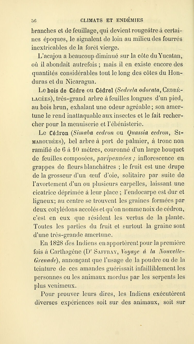 branches et de feuillage, qui devient rougeàtre à certai- nes époques, le signalent de loin au milieu des fourrés inextricables de la forêt vierge. L'acajou a beaucoup diminué sur la côte du Yucatan, où il abondait autrefois ; mais il en existe encore des quantités considérables tout le long des côtes du Hon- duras et du Nicaragua. Le bois de Cèdre ou Cédrel {Sedrela odorala, Cedré- LAcÉEs), très-grand arbre à feuilles longues d'un pied, au bois brun, exhalant une odeur agréable ; son amer- tune le rend inattaquable aux insectes et le fait recher- cher pour la menuiserie et l'ébénisterie. Le Céiron (Simaba cedron ou Quassia cedron, Si- MAROUBÉEs)^ bel arbre à port de palmier, à tronc non ramifié de 6 à 10 mètres, couronné d'un large bouquet de feuilles composées, paripennées ; inflorescence en grappes de fleurs blanchâtres ; le fruit est une drupe de la grosseur d'un œuf d'oie, solitaire par suite de l'avortement d'un ou plusieurs carpelles, laissant une cicatrice déprimée à leur place ; l'endocarpe est dur et ligneux; au centre se trouvent les graines formées par deux cotylédons accolés et qu'on nomme noix de cédron, c'est en eux que résident les vertus de la plante. Toutes les parties du fruit et surtout la graine sont d'une très-grande amertune. En 1828 des Indiens en apportèrent pour la première fois à Garthagène (D'' Saffray, Voyage à la Nouvelle- Grenade), annonçant que l'usage de la poudre ou de la teinture de ces amandes guérissait infailliblement les personnes ou les animaux mordus par les serpents les plus venimeux. Pour prouver leurs dires, les Indiens exécutèrent diverses expériences soit sur des animaux, soit sur