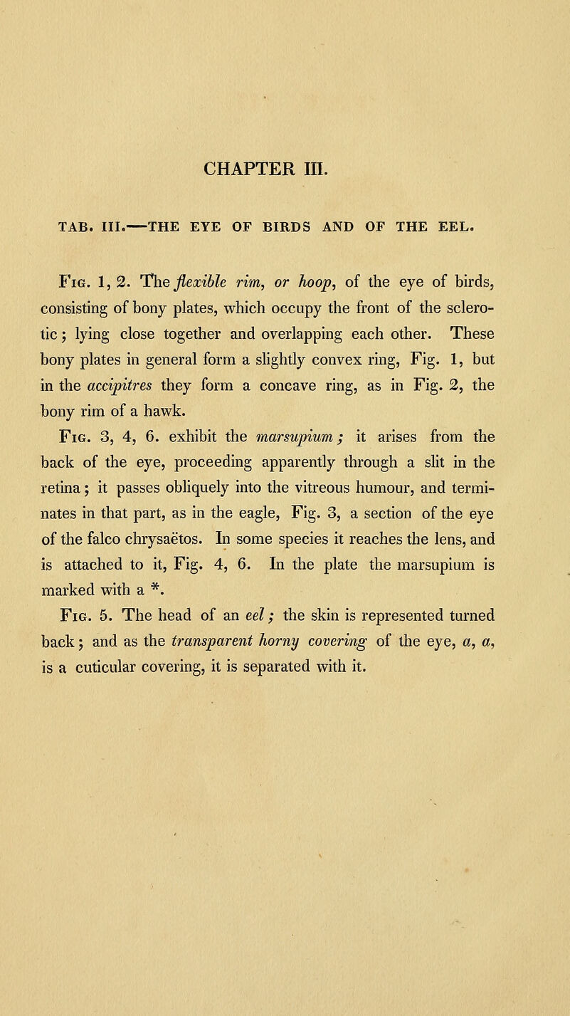 TAB. III. THE EYE OF BIRDS AND OF THE EEL. Fig. 1, 2. The flexible rim, or hoop, of the eye of birds, consisting of bony plates, which occupy the front of the sclero- tic ; lying close together and overlapping each other. These bony plates in general form a slightly convex ring, Fig. 1, but in the accipitres they form a concave ring, as in Fig. 2, the bony rim of a hawk. Fig. 3, 4, 6. exhibit the marsupium; it arises from the back of the eye, proceeding apparently through a slit in the retina; it passes obliquely into the vitreous humour, and termi- nates in that part, as in the eagle. Fig. 3, a section of the eye of the falco chrysaetos. In some species it reaches the lens, and is attached to it. Fig. 4, 6. In the plate the marsupium is marked with a *. Fig. 5. The head of an eel; the skin is represented turned back; and as the transparent horny covering of the eye, a, a, is a cuticular covering, it is separated with it.