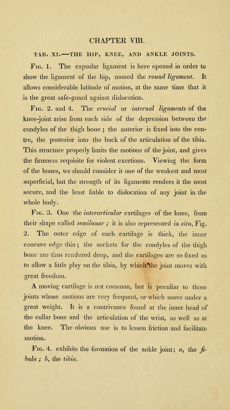 TAB. XI.—-THE HIP, KNEE, AND ANKLE JOINTS. Fig. 1. The capsular ligament is here opened in order to show the ligament of the hip, named the round ligament. It allows considerable latitude of motion, at the same time that it is the great safe-guard against dislocation. Fig. 2. and 4. The crucial or internal ligaments of the knee-joint arise from each side of the depression between the condyles of the thigh bone ; the anterior is fixed into the cen- tre, the posterior into the back of the articulation of the tibia. This structure properly limits the motions of the joint, and gives the firmness requisite for violent exertions. Viewing the form of the bones, we should consider it one of the weakest and most superficial, but the strength of its ligaments renders it the most secure, and the least liable to dislocation of any joint in the whole body. Fig. 3. One the interarticular cartilages of the knee, from their shape called semilunar ; it is also represented in situ, Fig. 2. The outer edge of each cartilage is thick, the inner concave edge thin; the sockets for the condyles of the thigh bone are thus rendered deep, and the cartilages are so fixed as to allow a little play on the tibia, by which*the joint moves with great freedom. A moving cartilage is not common, but is peculiar to those joints whose motions are very frequent, or which move under a great weight. It is a contrivance found at the inner head of the collar bone and the articulation of the wrist, as well as at the knee. The obvious use is to lessen friction and facilitate motion. Fig. 4. exhibits the formation of the ankle joint; a, the fi- bula ; b, the tibia.