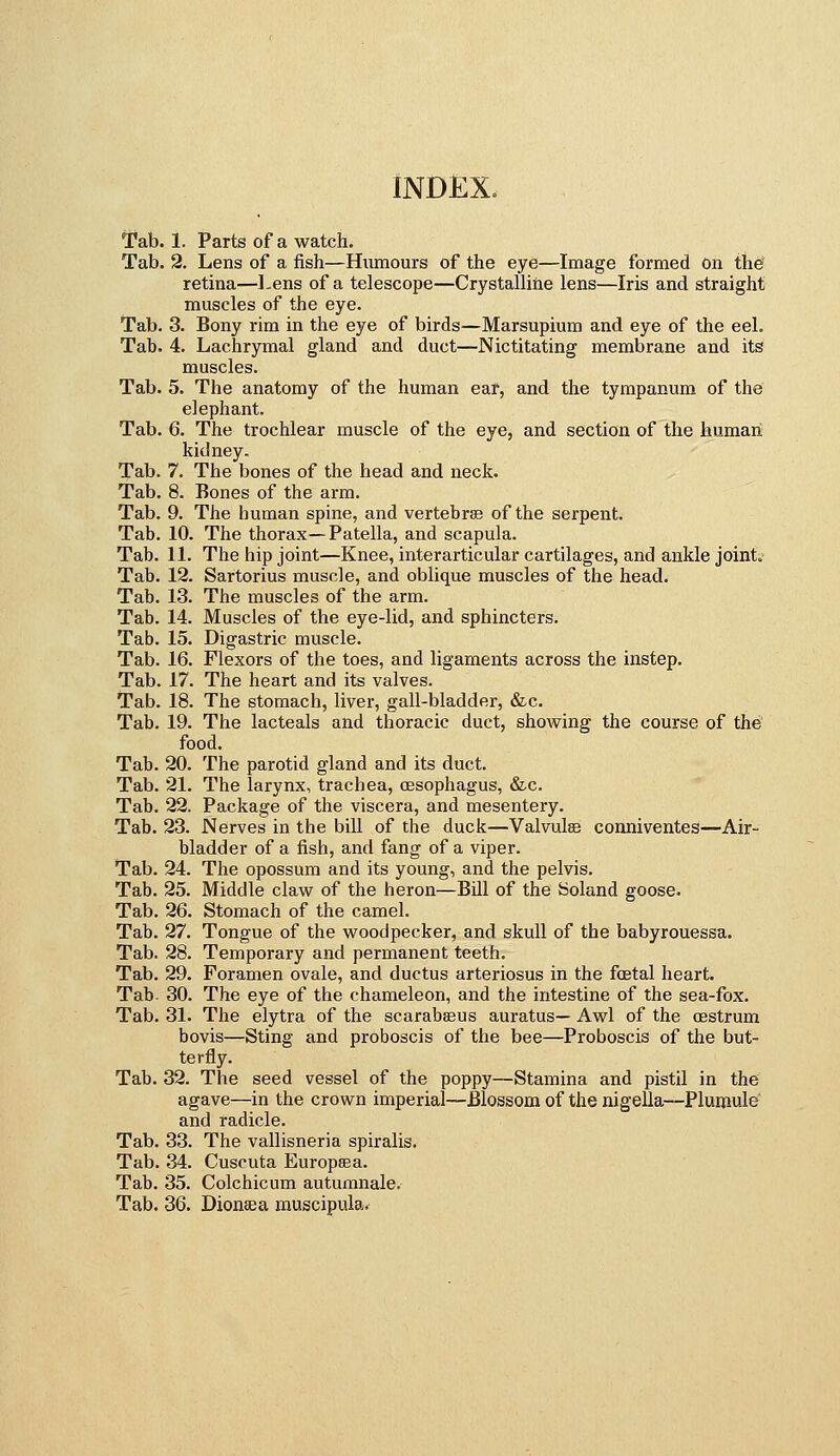 Tab. 1. Parts of a watch. Tab. 2. Lens of a fish—Humours of the eye—Image formed on the retina—Lens of a telescope—Crystalline lens—Iris and straight muscles of the eye. Tab. 3. Bony rim in the eye of birds—Marsupium and eye of the eel. Tab. 4. Lachrymal gland and duct—Nictitating membrane and its muscles. Tab. 5. The anatomy of the human ear, and the tympanum of the elephant. Tab. 6. The trochlear muscle of the eye, and section of the human kidney. Tab. 7. The bones of the head and neck. Tab. 8. Bones of the arm. Tab. 9. The human spine, and vertebrae of the serpent. Tab. 10. The thorax—Patella, and scapula. Tab. 11. The hip joint—Knee, interarticular cartilages, and ankle jointo Tab. 12. Sartorius muscle, and oblique muscles of the head. Tab. 13. The muscles of the arm. Tab. 14. Muscles of the eye-lid, and sphincters. Tab. 15. Digastric muscle. Tab. 16. Flexors of the toes, and ligaments across the instep. Tab. 17. The heart and its valves. Tab. 18. The stomach, liver, gall-bladder, «Sz.c. Tab. 19. The lacteals and thoracic duct, showing the course of the food. Tab. 20. The parotid gland and its duct. Tab. 21. The larynx, trachea, oesophagus, &c. Tab. 22. Package of the viscera, and mesentery. Tab. 23. Nerves in the bill of the duck—Valvulse conniventes—Air- bladder of a fish, and fang of a viper. Tab. 24. The opossum and its young, and the pelvis. Tab. 25. Middle claw of the heron—Bill of the Soland goose. Tab. 26. Stomach of the camel. Tab. 27. Tongue of the woodpecker, and skull of the babyrouessa. Tab. 28. Temporary and permanent teeth. Tab. 29. Foramen ovale, and ductus arteriosus in the foetal heart. Tab 30. The eye of the chameleon, and the intestine of the sea-fox. Tab. 31. The elytra of the scarabseus auratus— Awl of the oestrum bovis—Sting and proboscis of the bee—Proboscis of the but- terfly. Tab. 32. The seed vessel of the poppy—Stamina and pistil in the agave—in the crown imperial—Blossom of the nigella—Plumule and radicle. Tab. 33. The vallisneria spiralis. Tab. 34. Cuscuta Europsea. Tab. 35. Colchicum autumnale. Tab. 36. Dionsea muscipula.