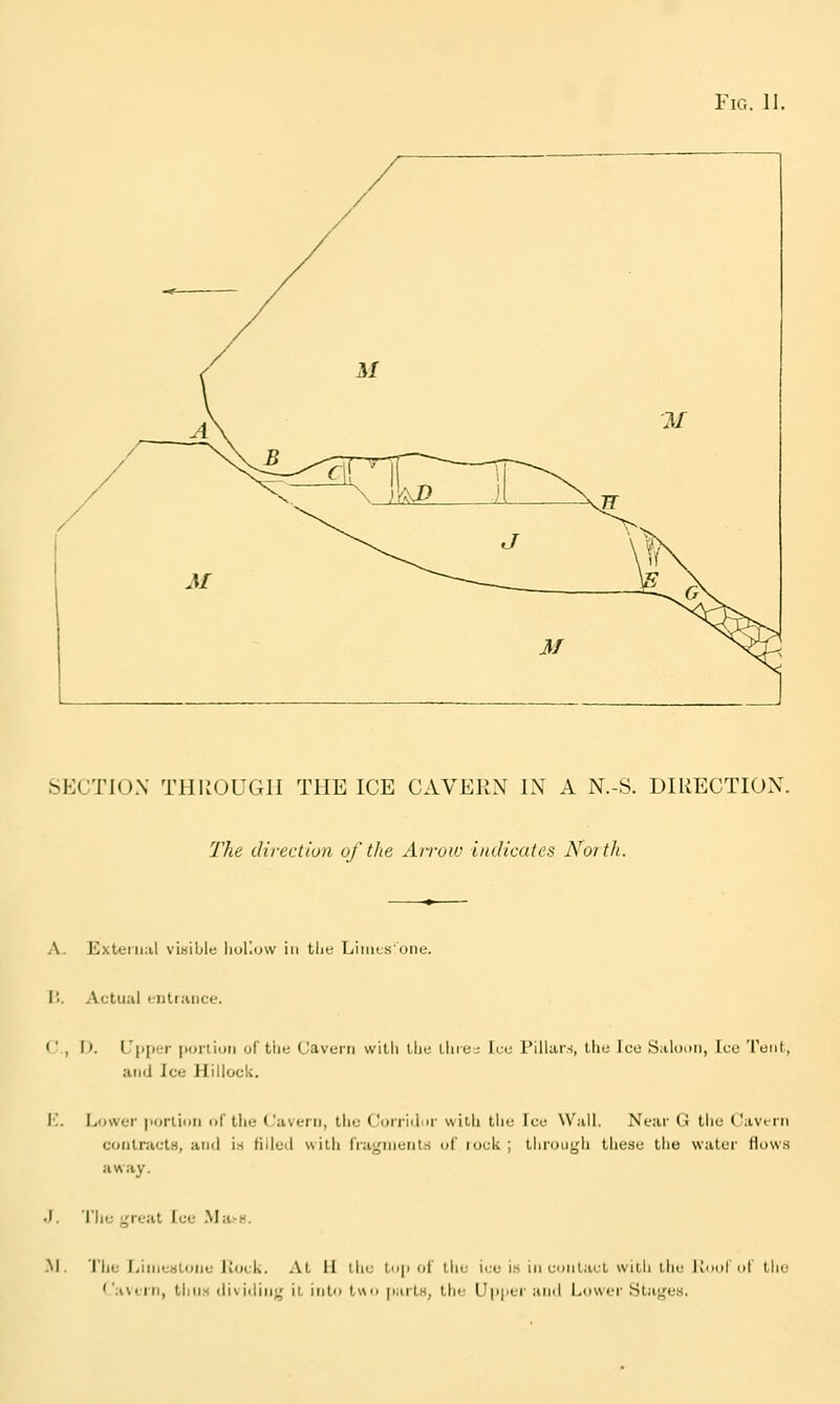 SECTION TllliOUGll THE ICE CAVERN IN A N.-S. DIRECTION. The direction of the Airov: indicates North. A. External viwiljlt! liuliuw in tlie Tjiiiitsone. I!. Actual t.-ntr;uice. (', \). L'|>[)er portion of tim Cavt-Jti with llic line; ice; I'illar-:, tin; iuc S.iloiiii, Ico Tent, and Ice Hillock. \i. Lower portion of the (Javerii, the Corriilir with tlie Ice Wall. Near G the Cavern contraeta, and is filled with fragnient.s of tuck ; through these the water flows away. •J, 'I'hc great luc .Ma-H. •M. The Jjiineeilone Kouk. At H the top of the ice i« in contact wiih the Knor of the 'avcrn, thus disiding it into two parts, the Up|>er and Lower Stages.