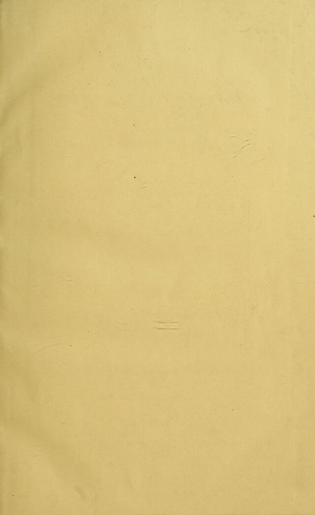 digitised image 3