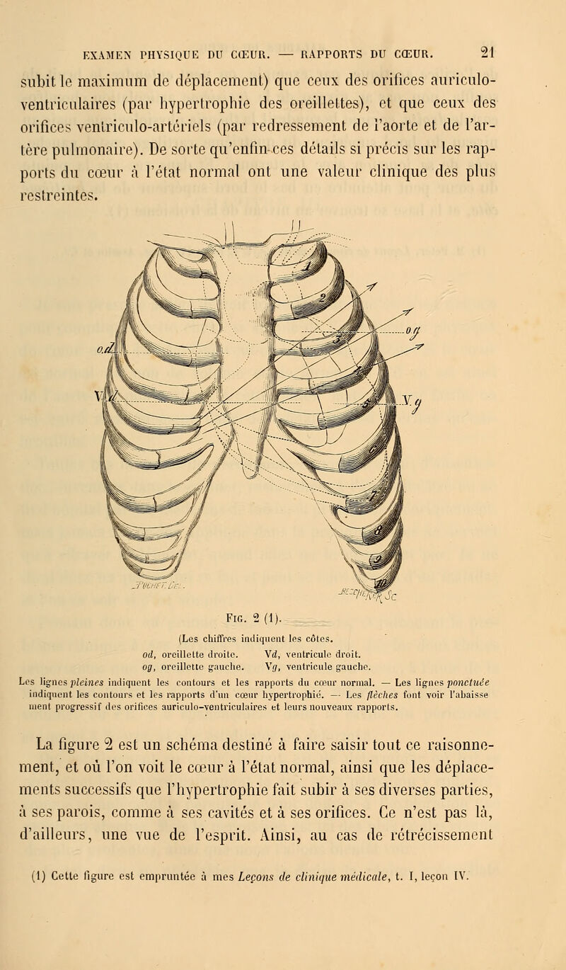 subit le maximum de déplacement) que ceux des orifices auriculo- véntriculaires (par hypertrophie des oreillettes), et que ceux des orifices ventriculo-artériels (par redressement de l'aorte et de l'ar- tère pulmonaire). De sorte qu'enfin-ces détails si précis sur les rap- ports du cœur à l'état normal ont une valeur clinique des plus restreintes. y%%jc Fig. 2 (1). (Les chiffres indiquent les côtes. od, oreillette droite. \d, ventricule droit. og, oreillette gauche. Vf/, ventricule gauche. Les lignes pleines indiquent les contours et les rapports du cœur normal. — Les lignes ponctuée indiquent les contours et les rapports d'un cœur hypertrophié. — Les flèches font voir l'ahaisse ment progressif des orifices auriculo-ventriculaires et leurs nouveaux rapports. La figure 2 est un schéma destiné à faire saisir tout ce raisonne- ment, et où l'on voit le cœur à l'état normal, ainsi que les déplace- ments successifs que l'hypertrophie fait subir à ses diverses parties, à ses parois, comme à ses cavités et à ses orifices. Ce n'est pas là, d'ailleurs, une vue de l'esprit. Ainsi, au cas de rétrécissement (1) Cette figure est empruntée à mes Leçons de clinique médicale, t. I, leçon IV.