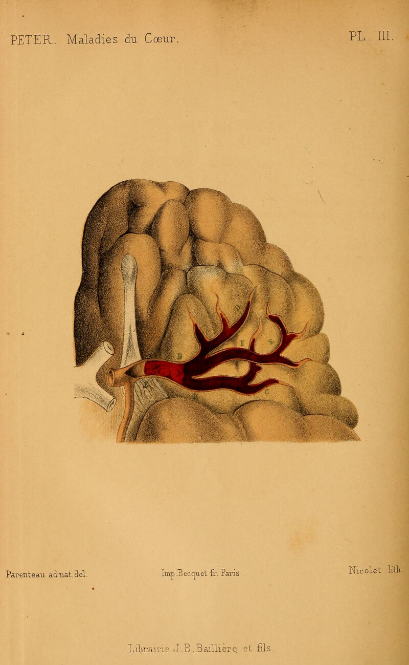 Parenteau adiiat.del. Imp .Bec au et fr. Taris . Nicolet litK. librairie J.B .Baillière et fils