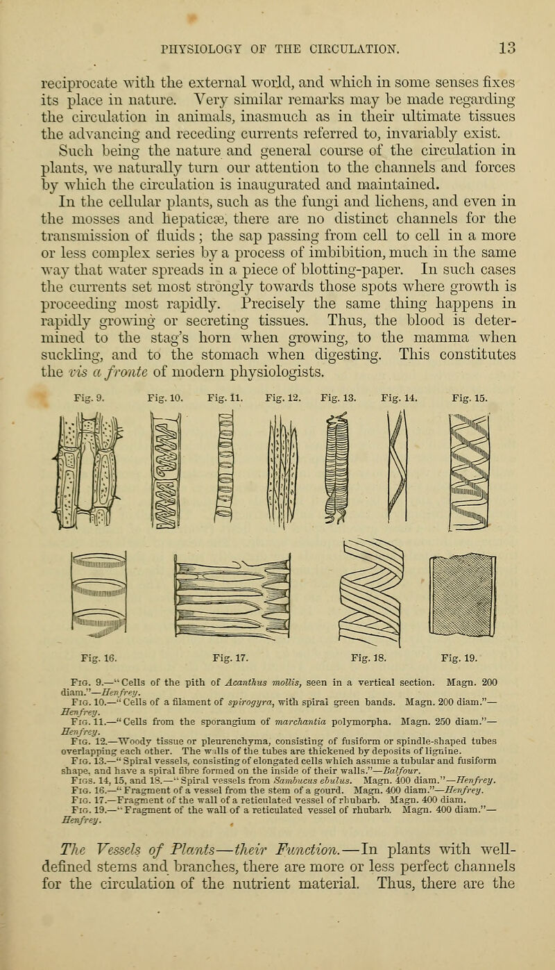 reciprocate with the external world, and which in some senses fixes its place in nature. Very similar remarks may be made regarding the circulation in animals, inasmuch as in their ultimate tissues the advancing and receding currents referred to, invariably exist. Such being the nature and general course of the circulation in plants, we naturally turn our attention to the channels and forces by which the circulation is inaugurated and maintained. In the cellular plants, such as the fungi and lichens, and even in the mosses and hepaticae, there are no distinct channels for the transmission of fluids; the sap passing from cell to cell in a more or less complex series by a process of imbibition, much in the same way that water spreads in a piece of blotting-paper. In such cases the currents set most strongly towards those spots where growth is proceeding most rapidly. Precisely the same thing happens in rapidly growing or secreting tissues. Thus, the blood is deter- mined to the stag's horn when growing, to the mamma when suckling, and to the stomach when digesting. This constitutes the vis a f route of modern physiologists. Fig. 9 «l Fig. 16. Fig. 17. Fig. 18. Fig. 19. Fig. 9.—Cells of the pith of Acanthus mollis, seen in a vertical section. Magn. 200 diam.—Henfrey. Fig. 10.—Cells of a filament of spirogyra, with spiral green bands. Magn. 200 diam.— Henfrey. Fig. 11.—Cells from the sporangium of marchantia polymorpha. Magn. 250 diam.— Henfrey. Fig. 12.—Woody tissue or pleurenchyma, consisting of fusiform or spindle-shaped tubes overlapping each other. The w ills of the tubes are thickened by deposits of lignine. Fig. 13.— Spiral vessels, consisting of elongated cells which assume a tuhular and fusiform shape, and have a spiral fibre formed on the inside of their walls.—Balfour. Figs. 14,15, and 18.— Spiral vessels from Sambucus ebulus. Magn. 400 diam.—Henfrey. Fig. 16.— Fragment of a vessel from the stem of a gourd. Magn. 400 diam.—Henfrey. Fig. 17.—Fragment of the wall of a reticulated vessel of rhubarb. Magn. 400 diam. Fig. 19.—'Fragment of the wall of a reticulated vessel of rhubarb. Magn. 400 diam.— Henfrey. The Vessels of Plants—their Function.—In plants with well- defined stems and branches, there are more or less perfect channels for the circulation of the nutrient material. Thus, there are the