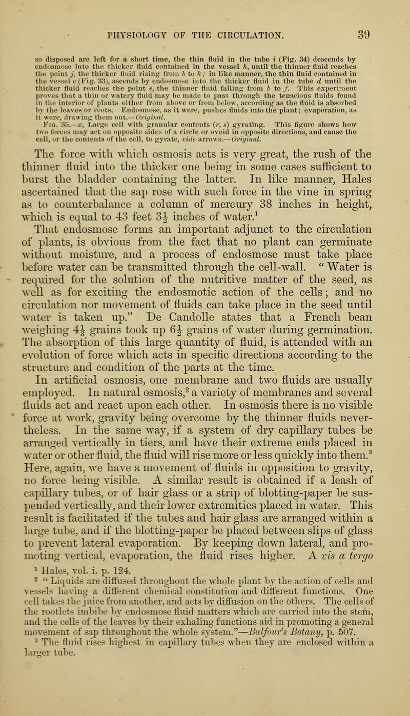 so disposed are left for a short time, the thin fluid in the tube i (Fig. 34) descends by endosmose into the thicker fluid contained in the vessel A, until the thinner fluid reaches the point /, the thicker fluid rising from b to fc; in like manner, the thin fluid contained in the vessel c (Fig. 33), ascends by endosmose into the thicker fluid in the tube d until the thicker fluid reaches the point e, the thinner fluid falling from b to /. This experiment proves that a thin or watery fluid may be made to pass through the tenacious fluids found in the interior of plants either from above or from below, according as the fluid is absorbed by the leaves or roots. Endosmose, as it were, pushes fluids into the plant; evaporation, as it were, drawing them out.— Original. FlG. 35.—,r, Large cell with granular contents (r, s) gyrating. This figure shows how two forces may act on opposite sides of a circle or ovoid in opposite directions, and cause the cell, or the contents of the cell, to gyrate, vide arrows.— Original. The force with which osmosis acts is very great, the rush of the thinner fluid into the thicker one being in some cases sufficient to hurst the bladder containing the latter. In like manner, Hales ascertained that the sap rose with such force in the vine in spring as to counterbalance a column of mercury 38 inches in height, which is equal to 43 feet 3^ inches of water.1 That endosmose forms an important adjunct to the circulation of plants, is obvious from the fact that no plant can germinate without moisture, and a process of endosmose must take place before water can be transmitted through the cell-wall.  Water is required for the solution of the nutritive matter of the seed, as well as for exciting the endosmotic action of the cells; and no circulation nor movement of fluids can take place in the seed until water is taken up. De Candolle states that a French bean weighing 4 J grains took up 6 J grains of water during germination. The absorption of this large quantity of fluid, is attended with an evolution of force which acts in specific directions according to the structure and condition of the parts at the time. In artificial osmosis, one membrane and two fluids are usually employed. In natural osmosis,2 a variety of membranes and several fluids act and react upon each other. In osmosis there is no visible force at work, gravity being overcome by the thinner fluids never- theless. In the same way, if a system of dry capillary tubes be arranged vertically in tiers, and have their extreme ends placed in water or other fluid, the fluid will rise more or less quickly into them.3 Here, again, we have a movement of fluids in opposition to gravity, no force being visible. A similar result is obtained if a leash of capillary tubes, or of hair glass or a strip of blotting-paper be sus- pended vertically, and their lower extremities placed in water. This result is facilitated if the tubes and hair glass are arranged within a large tube, and if the blotting-paper be placed between slips of glass to prevent lateral evaporation. By keeping down lateral, and pro- moting vertical, evaporation, the fluid rises higher. A vis a tergo 1 Hales, vol. i. p. 124. 2  Liquids are diffused throughout the whole plant by the action of cells and vessels having a different chemical constitution and different functions. One eell takes the juice from another, and acts by diffusion on the others. The cells of the rootlets inibibe by endosmose fluid matters which are earned into the stent, and the cells of the leaves by their exhaling functions aid in promoting a general movement of sap throughout the whole system.—Balfour's Botany, p. 507. 3 The fluid rises highest in capillary tubes when they are enclosed within a lamer tube.