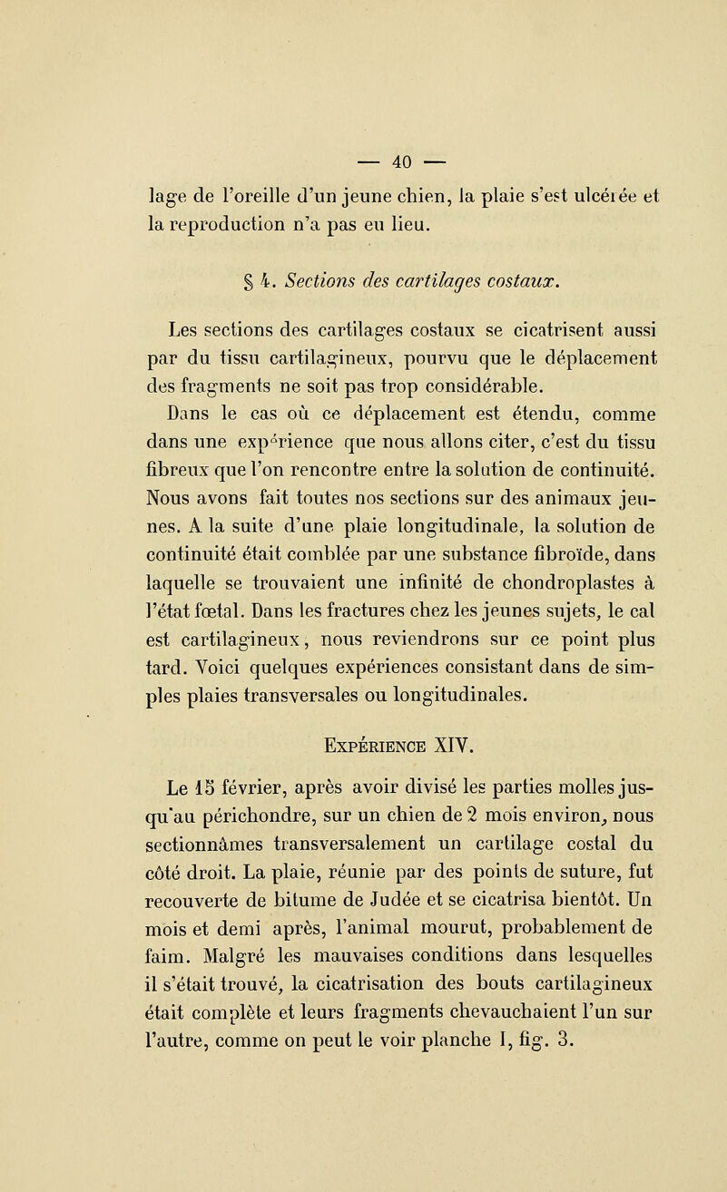 lage de l'oreille d'un jeune chien, la plaie s'est ulcérée et la reproduction n'a pas eu lieu. S 4. Sections des cartilages costaux. Les sections des cartilages costaux se cicatrisent aussi par du tissu cartilagineux, pourvu que le déplacement des fragnients ne soit pas trop considérable. Dans le cas où ce déplacement est étendu, comme dans une expérience que nous allons citer, c'est du tissu fibreux que l'on rencontre entre la solution de continuité. Nous avons fait toutes nos sections sur des animaux jeu- nes. A la suite d'une plaie longitudinale, la solution de continuité était comblée par une substance fîbroïde, dans laquelle se trouvaient une infinité de chondroplastes à l'état fœtal. Dans les fractures chez les jeunes sujets, le cal est cartilagineux, nous reviendrons sur ce point plus tard. Voici quelques expériences consistant dans de sim- ples plaies transversales ou longitudinales. Expérience XIV. Le 15 février, après avoir divisé les parties molles jus- qu'au périchondre, sur un chien de 2 mois environ^ nous sectionnâmes transversalement un cartilage costal du côté droit. La plaie, réunie par des points de suture, fut recouverte de bitume de Judée et se cicatrisa bientôt. Un mois et demi après, l'animal mourut, probablement de faim. Malgré les mauvaises conditions dans lesquelles il s'était trouvé, la cicatrisation des bouts cartilagineux était complète et leurs fragments chevauchaient l'un sur l'autre, comme on peut le voir planche I, fig. 3.