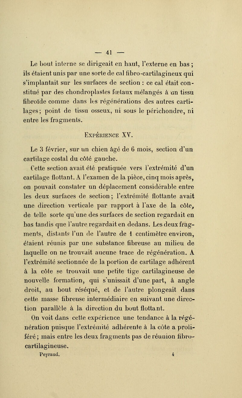 Le bout interne se dirigeait en haut, l'externe en bas ; ils étaient unis par une sorte de cal fîbro-cartilagineux qui s'implantait sur les surfaces de section : ce cal était con- stitué par des cliondroplastes fœtaux mélangés à un tissu fibroïde comme dans les régénérations des autres carti- lages; point de tissu osseux, ni sous le périchondre, ni entre les fragments. Expérience XV. Le 3 février, sur un chien âgé de 6 mois, section d'un cartilage costal du côté gauche. Cette section avait été pratiquée vers l'extrémité d'un cartilage flottant. A l'examen de la pièce, cinq mois après, on pouvait constater un déplacement considérable entre les deux surfaces de section ; l'extrémité flottante avait une direction verticale par rapport à l'axe de la côte, de telle sorte qu'une des surfaces de section regardait en bas tandis que l'autre regardait en dedans. Les deux frag- ments, distants l'un de l'autre de 1 centimètre environ, étaient réunis par une substance fibreuse au milieu de laquelle on ne trouvait aucune trace de régénération. A l'extrémité sectionnée de la portion de cartilage adhérent à la côte se trouvait une petite tige cartilagineuse de nouvelle formation, qui s'unissait d'une part, à angle droit, au bout réséqué, et de l'autre plongeait dans cette masse fibreuse intermédiaire en suivant une direc- tion parallèle à la direction du bout flottant. On voit dans cette expérience une tendance à la régé- nération puisque l'extrémité adhérente à la côte a proli- féré ; mais entre les deux fragments pas de réunion fibro- cartilagineuse, Peyraud. 4