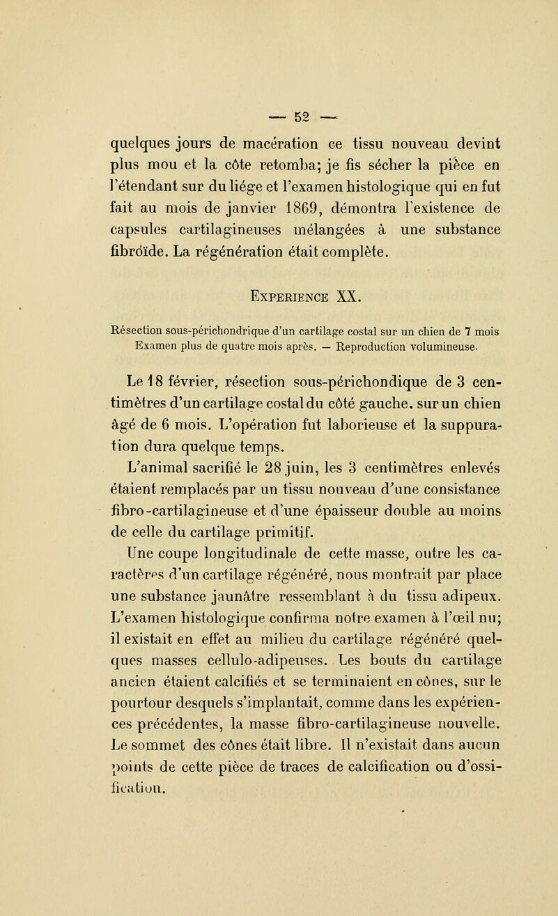 quelques jours de macération ce tissu nouveau devint plus mou et la côte retomba; je fis sécher la pièce en l'étendant sur du liège et l'examen histologique qui en fut fait au mois de janvier 1869, démontra l'existence de capsules cartilagineuses mélangées à une substance fibrdïde. La régénération était complète. Expérience XX. Résection sous-périchondrique d'un cartilage costal sur un chien de 7 mois Examen plus de quatre mois après, — Reproduction volumineuse. Le 18 février, résection sous-périchondique de 3 cen- timètres d'un cartilage costal du côté gauche, sur un chien âgé de 6 mois. L'opération fut laborieuse et la suppura- tion dura quelque temps. L'animal sacrifié le 28 juin, les 3 centimètres enlevés étaient remplacés par un tissu nouveau d'une consistance fibro-cartilagineuse et d'une épaisseur double au moins de celle du cartilage primitif. Une coupe longitudinale de cette masse, outre les ca- ractères d'un cartilage régénéré, nous montrait par place une substance jaunâtre ressemblant à du tissu adipeux. L'examen histologique confirma notre examen à l'œil nu; il existait en effet au milieu du cartilage régénéré quel- ques masses cellulo-adipeuses. Les bouts du cartilage ancien étaient calcifiés et se terminaient en cônes, sur le pourtour desquels s'implantait, comme dans les expérien- ces précédentes, la masse fibro-cartilagineuse nouvelle. Le sommet des cônes était libre. Il n'existait dans aucun points de cette pièce de traces de calcification ou d'ossi- fication.