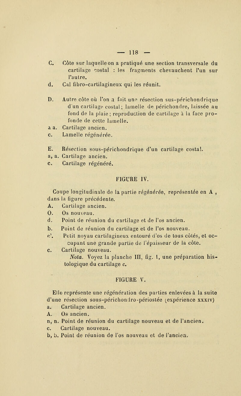 C. Côte sur laquelle on a pratiqué une section transversale du cartilage costal : les fragments chevauchent l'un sur l'autre, d. Cal fibro-cartilagineux qui les réunit. D. Autre côte où l'on a fait uno résection sus-périchondrique d'un cartilage costal ; lamelle de périchondre, laissée au fond de la plaie; reproduction de cartilage à la face pro- fonde de cette lamelle. a a. Cartilage ancien. c. Lamelle régénérée. E. Résection sous-périchondrique d'un cartilage costal. a. a. Cartilage ancien. c. Cartilage régénéré. FIGURE IV. Coupe longitudinale de la partie régénérée, représentée en A , dans la figure précédente. A. Cartilage ancien. 0. Os nouveau. d. Point de réunion du cartilage et de l'os ancien. b. Point de réunion du cartilage et de l'os nouveau. (•,\ Petit noyau cartilagineux entouré d'os de tous côtés, et oc- cupant une grande partie de l'épaisseur de la côte. c. Cartilage nouveau. Nota. Voyez la planche III, fig. 1, une préparation his- tologique du cartilage c. FIGURE V. Elle représente une régénération des parties enlevées à la suite d'une résection sous-périchondro-périostée (^expérience xxxiv) a. Cartilage ancien. A. Os ancien. n, n. Point de réunion du cartilage nouveau et de l'ancien, c. Cartilage nouveau. b, b. Point de réunion de l'os nouveau et de l'ancien.