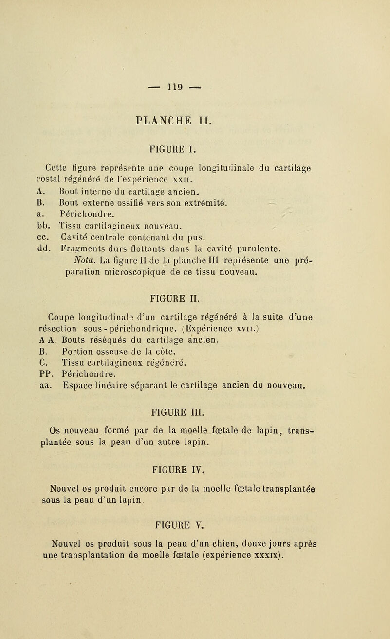 PLANCHE IL FIGURE L Cette figure représente une coupe longitudinale du cartilage costal régénéré de l'ey.périence xxti. A. Bout interne du cartilage ancien. B. Bout externe ossifié vers son extrémité, a. Périchondre. bb. Tissu cartilagineux nouveau. ce. Cavité centrale contenant du pus. dd. Fragments durs flottants dans la cavité purulente. Nota. La figure II de la planche III représente une pré- paration microscopique de ce tissu nouveau. FIGURE II. Coupe longitudinale d'un cartilage régénéré à la suite d'une résection sous-périchondrique. (Expérience xvii.) A A. Bouts réséqués du cartilage ancien. B. Portion osseuse de la côte. C. Tissu cartilagineux régénéré. PP. Périchondre. aa. Espace linéaire séparant le cartilage ancien du nouveau, FIGURE m. Os nouveau formé par de la moelle fœtale de lapin, trans- plantée sous la peau d'un autre lapin. FIGURE IV. Nouvel os produit encore par de la moelle fœtale transplantée sous la peau d'un lajiin. FIGURE V. Nouvel os produit sous la peau d'un chien, douze jours après une transplantation de moelle fœtale (expérience xxxix).