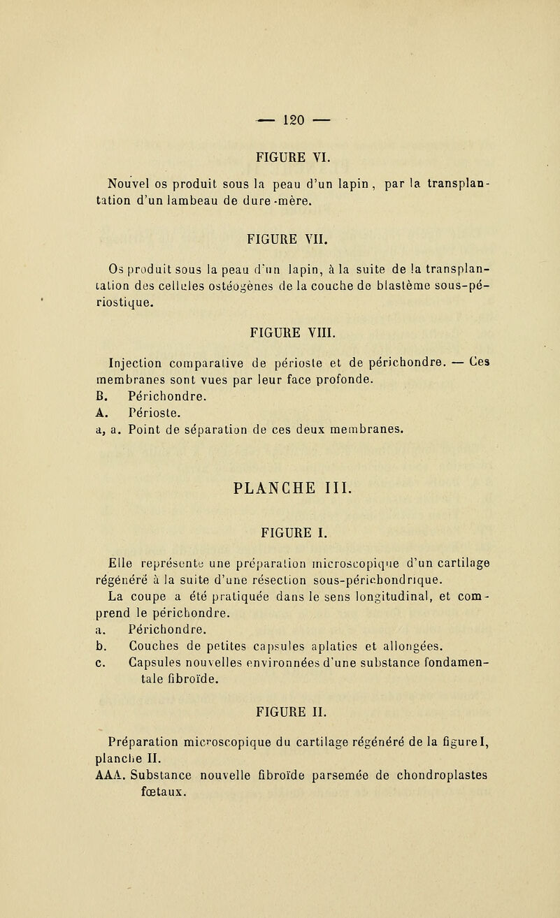 FIGURE VI. Nouvel os produit sous la peau d'un lapin, par la transplan- tation d'un lambeau de dure-mère. FIGURE VII. Os produit sous la peau d'un lapin, à la suite de la transplan- talion des cellules ostéogènes de la couche de blastème sous-pé- riostique. FIGURE VIII. Injection comparative de périoste et de périchondre, — Ces membranes sont vues par leur face profonde. B. Périchondre. A. Périoste, a, a. Point de séparation de ces deux membranes. PLANCHE III. FIGURE I. Elle représente une préparation rnicroscopique d'un cartilage régénéré à la suite d'une résection sous-périchondrique. La coupe a été pratiquée dans le sens longitudinal, et com- prend le périchondre. a. Périchondre. b. Couches de petites capsules aplaties et allongées. c. Capsules nouvelles environnées d'une substance fondamen- tale fibroïde. FIGURE II. Préparation microscopique du cartilage régénéré de la figureI, planclie II. AAA. Substance nouvelle fibroïde parsemée de chondroplastes fœtaux.