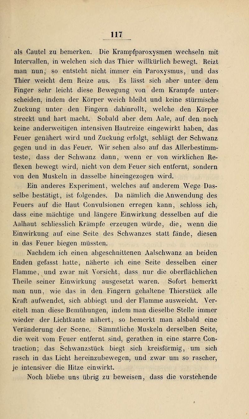 als Caiitel zu bemerken. Die Krampfparoxysmen wechseln mit Intervallen, in welchen sich das Thier willkürlich bewegt. Reizt man nun, so entsteht nicht immer ein Paroxysmus, und das Thier weicht dem Reize aus. Es lässt sich aber unter dem Finger sehr leicht diese Bewegung von dem Krämpfe unter- scheiden, indem der Körper weich bleibt und keine stürmische Zuckung unter den Fingern dahinrollt, welche den Körper streckt und hart macht. Sobald aber dem Aale, auf den noch keine anderweitigen intensiven Hautreize eingewirkt haben, das Feuer genähert wird und Zuckung erfolgt, schlägt der Schwanz gegen und in das Feuör. Wir sehen also auf das Allerbestimm- teste, dass der Schwanz dann, wenn er von wirklichen Re- flexen bewegt wird, nicht von dem Feuer sich entfernt, sondern von den Muskeln in dasselbe hineingezogen wird. Ein anderes Experiment, welches auf anderem Wege Das- selbe bestätigt, ist folgendes. Da nämlich die Anwendung des Feuers auf die Haut Gonvulsionen erregen kann, schloss ich, dass eine mächtige und längere Einwirkung desselben auf die Aalhaut schliesslich Krämpfe erzeugen würde, die, wenn die Einwirkung auf eine Seite des Schwanzes statt fände, diesen in das Feuer biegen müssten. Nachdem ich einen abgeschnittenen Aalschwanz an beiden Enden gefasst hatte, näherte ich eine Seite desselben einer Flamme, und zwar mit Vorsicht, dass nur die oberflächhchen Theile seiner Einwirkung ausgesetzt waren. Sofort bemerkt man nun, wie das in den Fingern gehaltene Thierstück alle Kraft aufwendet, sich abbiegt und der Flamme ausweicht. Ver- eitelt man diese Bemühungen, indem man dieselbe Stelle immer wieder der Lichtkante nähert, so bemerkt man alsbald eine Veränderung der Scene. SämmtUche Muskeln derselben Seite, die weit vom Feuer entfernt sind, gerathen in eine starre Gon- traction; das Schwanzstück biegt sich kreisförmig, um sich rasch in das Licht hereinzubewegen, und zwar um so rascher, je intensiver die Hitze einwirkt. Noch bliebe uns übrig zu beweisen, dass die vorstehende