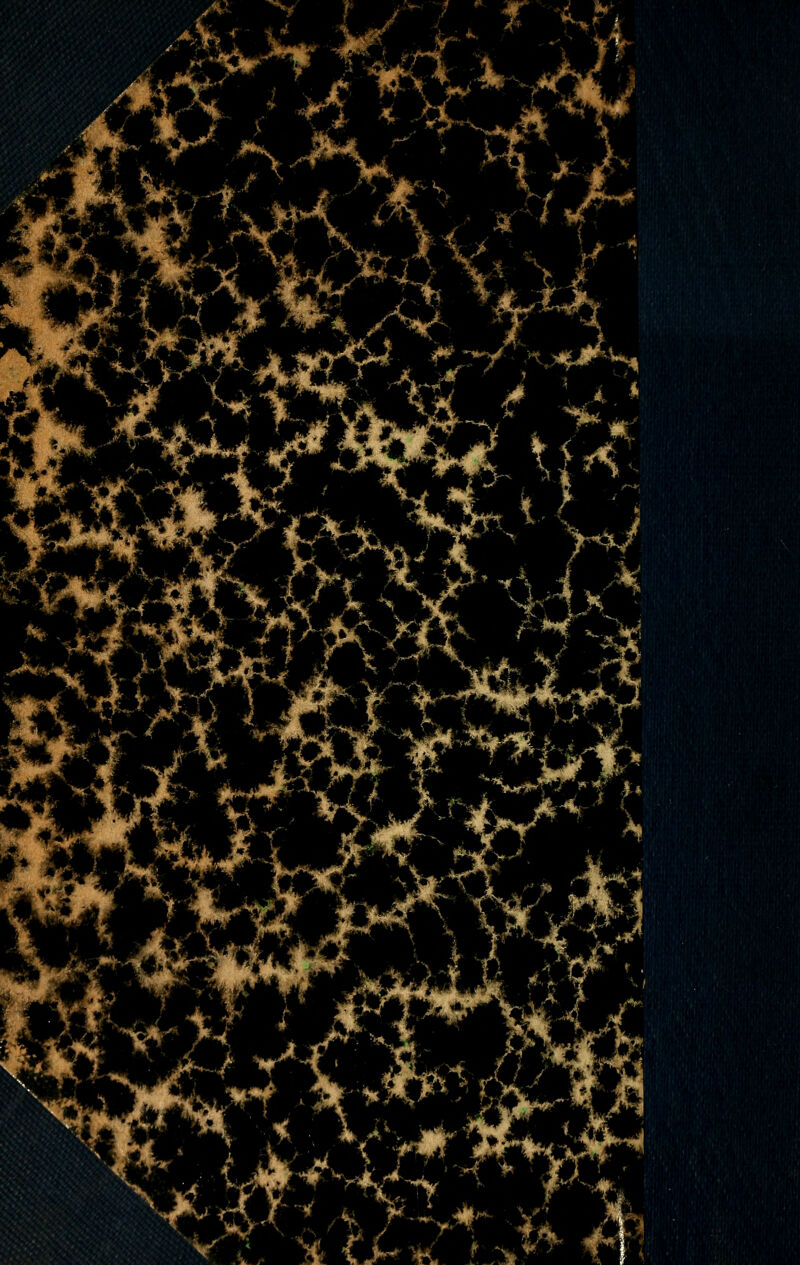 %4 'X r i i NHL J .yA