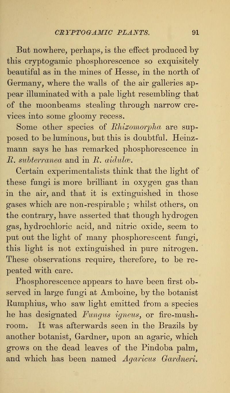 But nowhere^, perhaps^ is the effect produced by this cryptogamic phosphorescence so exquisitely beautiful as in the mines of Hesse, in the north of Grermany, where the walls of the air galleries ap- pear illuminated with a pale light resembling that of the moonbeams stealing through narrow cre- vices into some gloomy recess. Some other species of Rliizomorjpha are sup- posed to be luminous, but this is doubtful. Heinz- mann says he has remarked phosphorescence in R. suhterranea and in R. aichdce. Certain experimentalists think that the light of these fungi is more brilliant in oxygen gas than in the air, and that it is extinguished in those gases which are non-respirable; whilst others, on the contrary, have asserted that though hydrogen gas, hydrochloric acid, and nitric oxide, seem to put out the light of many phosphorescent fungi, this light is not extinguished in pure nitrogen. These observations require, therefore, to be re- peated with care. Phosphorescence appears to have been first ob- served in large fungi at Amboine, by the botanist Rumphius, who saw light emitted from a species he has designated Fungus igneus, or fire-mush- room. It was afterwards seen in the Brazils by another botanist, Gardner, upon an agaric, which grows on the dead leaves of the Pindoba palm, and which has been named Agaricus Gardneri.