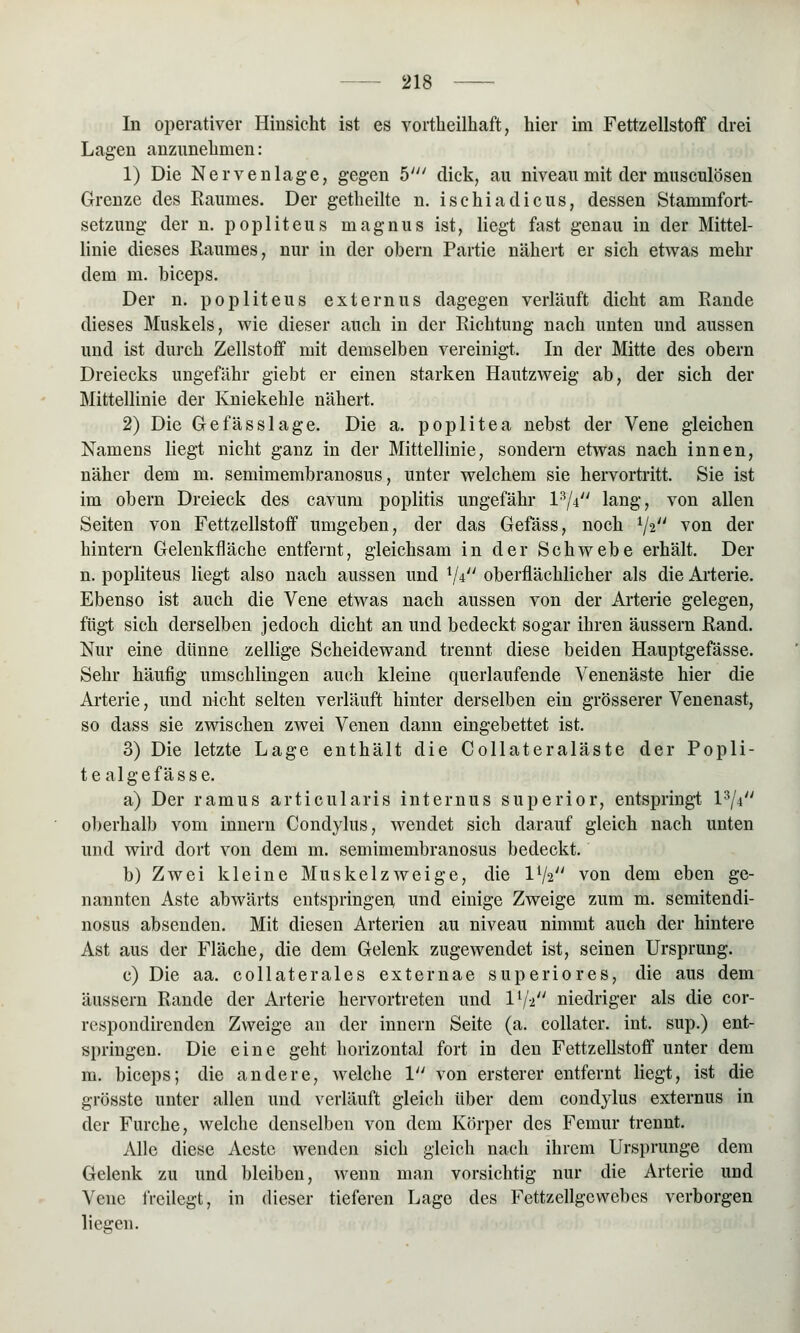 In operativer Hinsicht ist es vortheilhaft, hier im Fettzellstoff drei Lagen anzunehmen: 1) Die Nervenlage, gegen 5/y/ dick, au niveau mit der musculösen Grenze des Baumes. Der getheilte n. ischiadicus, dessen Stammfort- setzimg der n. popliteus magnus ist, liegt fast genau in der Mittel- linie dieses Raumes, nur in der obern Partie nähert er sich etwas mehr dem m. biceps. Der n. popliteus externus dagegen verläuft dicht am Rande dieses Muskels, wie dieser auch in der Richtung nach unten und aussen und ist durch Zellstoff mit demselben vereinigt. In der Mitte des obern Dreiecks ungefähr giebt er einen starken Hautzweig ab, der sich der Mittellinie der Kniekehle nähert. 2) Die Gefässlage. Die a. poplitea nebst der Vene gleichen Namens liegt nicht ganz in der Mittellinie, sondern etwas nach innen, näher dem m. semimembranosus, unter welchem sie hervortritt. Sie ist im obern Dreieck des cavum poplitis ungefähr P/4 lang, von allen Seiten von Fettzellstoff umgeben, der das Gefäss, noch 1/i von der hintern Gelenkfläche entfernt, gleichsam in der Schwebe erhält. Der n. popliteus liegt also nach aussen und l/i oberflächlicher als die Arterie. Ebenso ist auch die Vene etwas nach aussen von der Arterie gelegen, fügt sich derselben jedoch dicht an und bedeckt sogar ihren äussern Rand. Nur eine dünne zellige Scheidewand trennt diese beiden Hauptgefässe. Sehr häufig umschlingen auch kleine querlaufende Venenäste hier die Arterie, und nicht selten verläuft hinter derselben ein grösserer Venenast, so dass sie zwischen zwei Venen dann eingebettet ist. 3) Die letzte Lage enthält die Collateraläste der Popli- tealgefässe. a) Der ramus articularis internus superior, entspringt 13/Vy oberhalb vom innern Condylus, wendet sich darauf gleich nach unten und wird dort von dem m. semimembranosus bedeckt. b) Zwei kleine Muskelzweige, die IV2 von dem eben ge- nannten Aste abwärts entspringen und einige Zweige zum m. semitendi- nosus absenden. Mit diesen Arterien au niveau nimmt auch der hintere Ast aus der Fläche, die dem Gelenk zugewendet ist, seinen Ursprung. c) Die aa. collaterales externae superiores, die aus dem äussern Rande der Arterie hervortreten und Vj-i niedriger als die cor- respondirenden Zweige an der innern Seite (a. collatcr. int. sup.) ent- springen. Die eine geht horizontal fort in den Fettzellstoff unter dem m. biceps; die andere, welche V von ersterer entfernt liegt, ist die grösste unter allen und verläuft gleich über dem condylus externus in der Furche, welche denselben von dem Körper des Femur trennt. Alle diese Aestc wenden sich gleich nach ihrem Ursprünge dem Gelenk zu und bleiben, wenn man vorsichtig nur die Arterie und Vene freilegt, in dieser tieferen Lage des Fettzellgcwebes verborgen liegen.