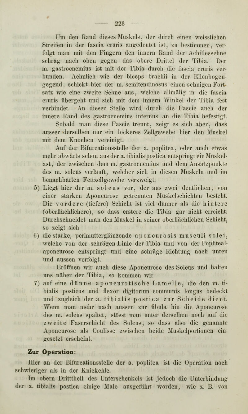 Um den Rand dieses Muskels, der durch einen weissiichen Streifen in der fasern cruris angedeutet ist, zu bestimmen, ver- folgt man mit den Fingern den innern Rand der Achillessehne schräg nach oben gegen das obere Drittel der Tibia. Der m. gastrocnemius ist mit der Tibia durch die fascia cruris ver- bunden. Aehnlich wie der biceps brachii in der Ellenbogen- gegend, schickt hier der m. semitendinosus einen sehnigen Fort- satz wie eine zweite Sehne aus, welche allmälig in die fascia cruris übergeht und sich mit dem innern Winkel der Tibia fest verbindet. An dieser Stelle wird durch die Fascie auch der innere Rand des gastrocnemius internus an die Tibia befestigt. Sobald man diese Fascie trennt, zeigt es sich aber, dass ausser derselben nur ein lockeres Zellgewebe hier den Muskel mit dem Knochen vereinigt. Auf der Bifurcationsstelle der a. poplitea, oder auch etwas mehr abwärts schon aus der a. tibialis postica entspringt ein Muskel- ast, der zwischen dem m. gastrocnemius und dem Ansatzpunkte des m. soleus verläuft, welcher sich in diesen Muskeln und im benachbarten Fettzellgewebe verzweigt. 5) Liegt hier der m. soleus vor, der aus zwei deutlichen, von einer starken Aponeurose getrennten Muskelschichten besteht. Die vordere (tiefere) Schicht ist viel dünner als die hintere (oberflächlichere), so dass erstere die Tibia gar nicht erreicht. Durchschneidet man den Muskel in seiner oberflächlichen Schicht, so zeigt sich 6) die starke, perlmutterglänzende aponeurosis musculi solei, welche von der schrägen Linie der Tibia und von der Popliteal- aponeurose entspringt und eine schräge Richtung nach unten und aussen verfolgt. Eröffnen wir auch diese Aponeurose des Soleus und halten uns näher der Tibia, so kommen wir 7) auf eine dünne aponeurotische Lamelle, die den m. ti- bialis posticus und flexor digitorum communis longus bedeckt und zugleich der a. tibialis postica zur Scheide dient. Wenn man mehr nach aussen zur fibula hin die Aponeurose des m. soleus spaltet, stösst man unter derselben noch auf die zweite Faserschicht des Soleus, so dass also die genannte Aponeurose als Coulisse zwischen beide Muskelportionen ein- gesetzt erscheint. Zur Operation: Hier an der Bifurcationsstelle der a. poplitea ist die Operation noch schwieriger als in der Kniekehle. Im obern Dritttheil des Unterschenkels ist jedoch die Unterbindung der a. tibialis postica einige Male ausgeführt worden, wie z. B. von