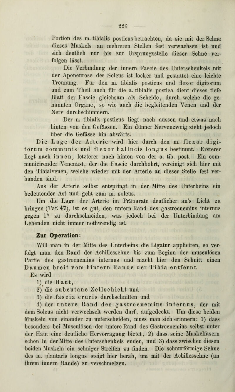 Portion des m. tibialis postieus betrachten, da sie mit der Sehne dieses Muskels an mehreren Stellen fest verwachsen ist und sich deutlich nur bis zur Ursprungsstelle dieser Sehne ver- folgen lässt. Die Verbindung der innern Fascie des Unterschenkels mit der Aponeurose des Soleus ist locker und gestattet eine leichte Trennung. Für den m. tibialis postieus und flexor digitorum und zum Theil auch für die a. tibialis postica dient dieses tiefe Blatt der Fascie gleichsam als Scheide, durch welche die ge- nannten Organe, so wie auch die begleitenden Venen und der Nerv durchschimmern. Der n. tibialis postieus liegt nach aussen und etwas nach hinten von den Gefässen. Ein dünner Nervenzweig zieht jedoch über die Gefässe hin abwärts. Die Lage der Arterie wird hier durch den m. flexor digi- torum communis und flexor hallucis longus bestimmt. Ersterer liegt nach innen, letzterer nach hinten von der a. tib. post. Ein com- municirender Venenast, der die Fascie durchbohrt, vereinigt sich hier mit den Tibialvenen, welche wieder mit der Arterie an dieser Stelle fest ver- bunden sind. Aus der Arterie selbst entspringt in der Mitte des Unterbeins ein bedeutender Ast und geht zum m. soleus. Um die Lage der Arterie im Präparate deutlicher an's Licht zu bringen (Taf. 47), ist es gut, den untern Rand des gastroenemius internus gegen 1 zu durchschneiden, was jedoch bei der Unterbindung am Lebenden nicht immer nothwendig ist. Zur Operation: Will man in der Mitte des Unterbeins die Ligatur appliciren, so ver- folgt man den Rand der Achillessehne bis zum Beginn der musculösen Partie des gastroenemius internus und macht hier den Schnitt einen Daumen breit vom hintern Rande der Tibia entfernt. Es wird l)die Haut, 2) die subcutane Zellschicht und 3) die fascia cruris durchschnitten und 4) der untere Rand des gastroenemius internus, der mit dem Soleus nicht verwechselt werden darf, aufgedeckt. Um diese beiden Muskeln von einander zu unterscheiden, muss man sich erinnern: 1) dass besonders bei Musculösen der untere Rand des Gastroenemius selbst unter der Haut eine deutliche Hervorragung bietet, 2) dass seine Muskelfasern schon in der Mitte des Unterschenkels enden, und 3) dass zwischen diesen beiden Muskeln ein sehniger Streifen zu finden. Die schnurförmige Sehne des m. plantaris longus steigt hier herab, um mit der Achillessehne (an ihrem innern Rande) zu verschmelzen.