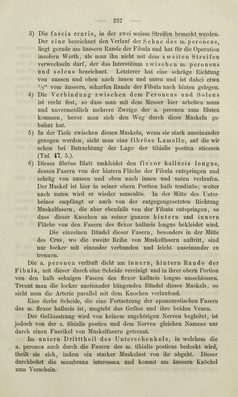 3) Die fascia cruris, in der zwei weisse Streifen bemerkt werden. Der eine bezeichnet den Verlauf der Sehne des m. peroneus, liegt gerade am äussern Rande der Fibula und hat für die Operation insofern Wertli. als man ihn nicht mit dem zweiten Streifen verwechseln darf, der das Interstitium zwischen m. peroneus und soleus bezeichnet. Letzterer hat eine schräge Richtung von aussen und oben nach innen und unten und ist dabei etwa xfiu vom äussern, scharfen Rande der Fibula nach hinten gelegen. 4) Die Verbindung zwischen dem Peroneus und Soleus ist recht fest, so dass man mit dem Messer hier arbeiten muss und unvermeidlich mehrere Zweige der a. peronea zum Bluten kommen, bevor man sich den Weg durch diese Muskeln ge- bahnt hat. 5) In der Tiefe zwischen diesen Muskeln, wenn sie stark auseinander gezogen werden, sieht man eine fibröse Lamelle, auf die wir schon bei Betrachtung der Lage der tibialis postica stiessen (Taf. 47, 5.). 6) Dieses fibröse Blatt umkleidet den flexor hallucis longus, dessen Fasern von der hintern Fläche der Fibula entspringen und schräg von aussen und oben nach innen und unten verlaufen. Der Muskel ist hier in seiner obern Portion halb tendinös; weiter nach unten wird er wieder musculös. In der Mitte des Unter- beines empfängt er auch von der entgegengesetzten Richtung Muskelfasern, die aber ebenfalls von der Fibula entspringen, so dass dieser Knochen an seiner ganzen hintern und innern Fläche von den Fasern des flexor hallucis longus bekleidet wird. Die einzelnen Bündel dieser Fasern, besonders in der Mitte des Crus, wo die zweite Reihe von Muskelfasern auftritt, sind nur locker mit einander verbunden und leicht auseinander zu trennen. Die a. peronea verläuft dicht am innern, hintern Rande der Fibula, mit dieser durch eine Scheide vereinigt und in ihrer obern Portion von den halb sehnigen Fasern des flexor hallucis longus umschlossen. Trennt man die locker aneinander hängenden Bündel dieses Muskels, so sieht man die Arterie parallel mit dem Knochen verlaufend. Eine derbe Scheide, die eine Fortsetzung der aponeurotischen Fasern des m. flexor hallucis ist, umgiebt das Gefäss und ihre beiden Venen. Der Gefässstrang wird von keinem zugehörigen Nerven begleitet, ist jedoch von der a. tibialis postica und dem Nerven gleichen Namens nur durch einen Fascikel von Muskelfasern getrennt. Im untern Dritttheil des Unterschenkels, in welchem die a. peronea auch durch die Fasern des m. tibialis posticus bedeckt wird, theilt sie sich, indem ein starker Muskelast von ihr abgeht. Dieser durchbohrt die membrana interossea und kommt am äussern Knöchel zum Vorschein.