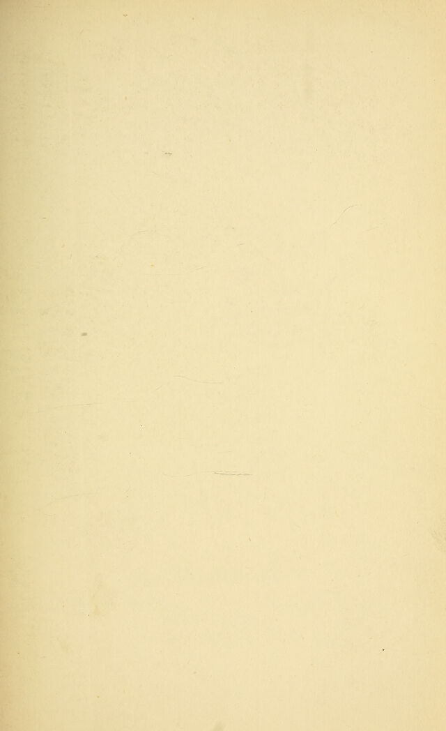 digitised image 3