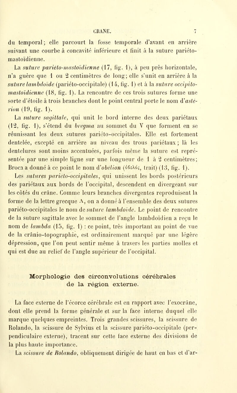 du temporal ; elle parcourt la fosse temporale d'avant en arrière suivant une courbe à concavité inférieure et finit à la suture pariéto- mastoïdienne. La suture pariélo-mastoïdienne (17, fig. 1), à peu près horizontale, n'a guère que 1 ou 2 centimètres de long; elle s'unit en arrière à la suture lambdoïde (pariéto-occipitale) (14, fig. i) et à la suture occipito- mastoïdienne (18, fig. 1). La rencontre de ces trois sutures forme une sorte d'étoile à trois branches dont le point central porte le nom d'asté- rion (19, fig. 1). La suture sagittale, qui unit le bord interne des deux pariétaux (12, fig. 1), s'étend du bregma au sommet du V que forment en se réunissant les deux sutures paricto-occipitales. Elle est fortement dentelée, excepté en arrière au niveau des trous pariétaux; là les dentelures sont moins accentuées, parfois même la suture est repré- sentée par une simple ligne sur une longueur de 1 à 2 centimètres; Broca a donné à ce point le nom d'obelion (ôSeXôs, Irait) (13, fig. 1). Les sutures pariéto-occipitales, qui unissent les bords postérieurs des pariétaux aux bords de l'occipital, descendent en divergeant sur les côtés du crâne. Gomme leurs branches divergentes reproduisent la forme de la lettre grecque A, on a donné à l'ensemble des deux sutures pariéto-occipilales le nom de suture lambdoïde. Le point de rencontre de la suture sagittale avec le sommet de l'angle lambdoïdien a reçu le nom de lambda (15, fig. 1) : ce point, très important au point de vue de la crânio-topographie, est ordinairement marqué par une légère dépression, que l'on peut sentir même à travers les parties molles et qui est due au relief de l'angle supérieur de l'occipital. Morphologie des circonvolutions cérébrales de la région externe. La face externe de l'écorce cérébrale est en rapport avec l'exocrâne, dont elle prend la forme générale et sur la face interne duquel elle marque quelques empreintes. Trois grandes scissures, la scissure de Rolando, la scissure de Sylvius et la scissure pariéto-occipitale (per- pendiculaire externe), tracent sur cette face externe des divisions de la plus haute importance. La scissure de Rolando, obliquement dirigée de haut en bas et d'ar-