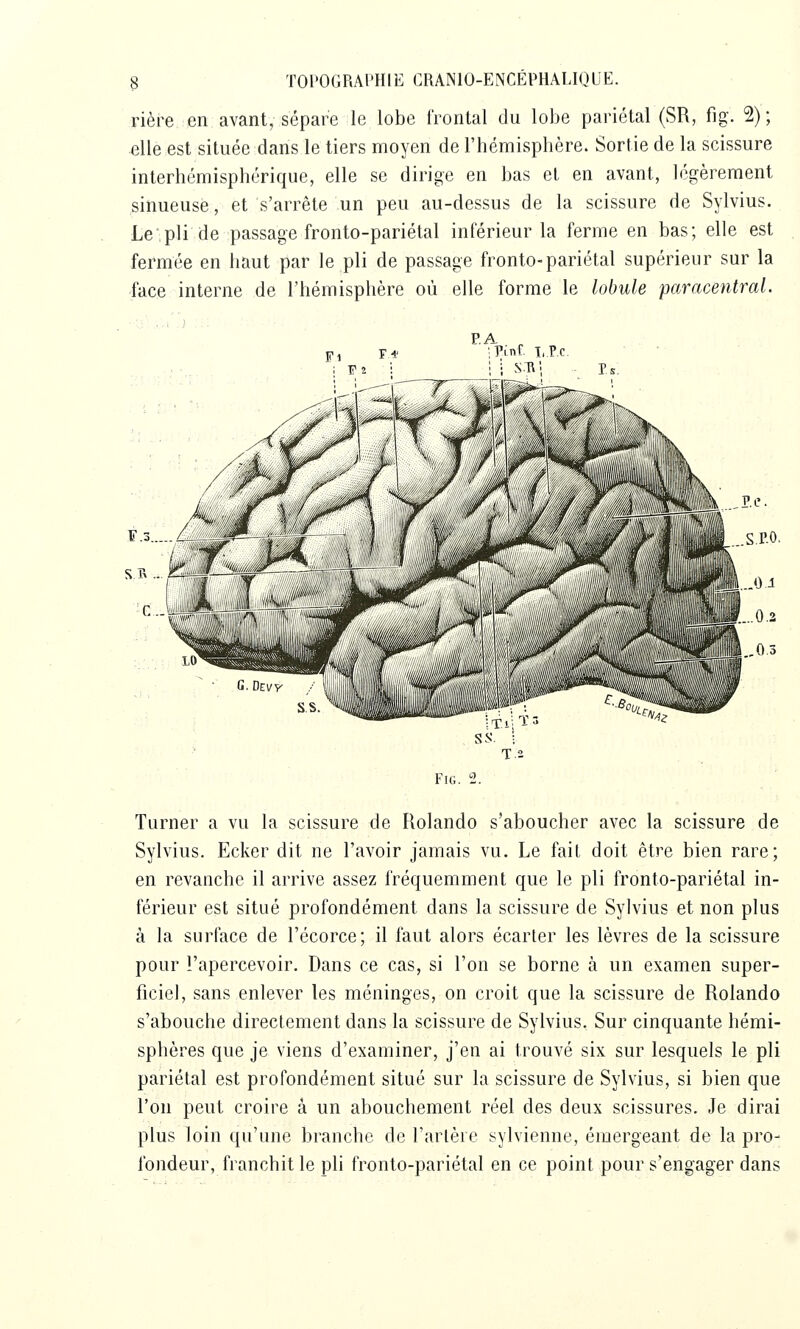 rière en avant, sépare le lobe frontal du lobe pariétal (SR, fig. 2); elle est située dans le tiers moyen de l'hémisphère. Sortie de la scissure interhémisphérique, elle se dirige en bas et en avant, légèrement sinueuse, et s'arrête un peu au-dessus de la scissure de Sylvius. Le;pli de passage fronto-pariétal inférieur la ferme en bas; elle est fermée en haut par le pli de passage fronto-pariétal supérieur sur la face interne de l'hémisphère où elle forme le lobule paracentral. P.A ^ \Vinl T,P.C Fig. 2. Turner a vu la scissure de Rolando s'aboucher avec la scissure de Sylvius. Ecker dit ne l'avoir jamais vu. Le fait doit être bien rare; en revanche il arrive assez fréquemment que le pli fronto-pariétal in- férieur est situé profondément dans la scissure de Sylvius et non plus à la surface de l'écorce; il faut alors écarter les lèvres de la scissure pour l'apercevoir. Dans ce cas, si l'on se borne à un examen super- ficiel, sans enlever les méninges, on croit que la scissure de Rolando s'abouche directement dans la scissure de Sylvius. Sur cinquante hémi- sphères que je viens d'examiner, j'en ai trouvé six sur lesquels le pli pariétal est profondément situé sur la scissure de Sylvius, si bien que l'on peut croire à un abouchement réel des deux scissures. Je dirai plus loin qu'une branche de Tarière sylvienne, émergeant de la pro- fondeur, franchit le ph fronto-pariétal en ce point pour s'engager dans