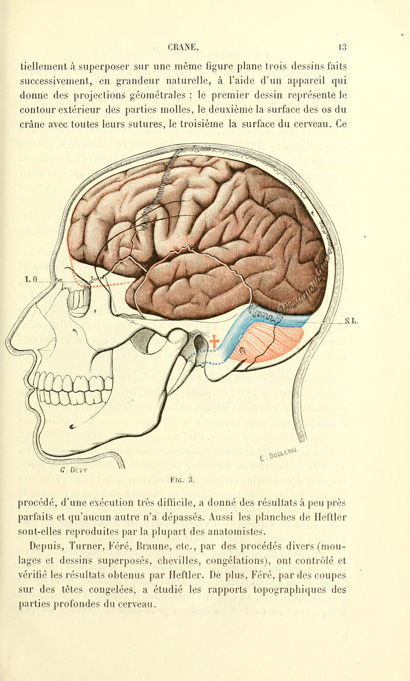 tielleraent à superposer sur une même figure plane trois dessins faits successivement, en grandeur naturelle, à l'aide d'un appareil qui donne des projections géoraétrales : le premier dessin représente le contour extérieur des parties molles, le deuxième la surface des os du crâne avec toutes leurs sutures, le troisième la surface du cerveau. Ce G DEVY FiG. 3. procédé, d'une exécution très difficile, a donné des résultats à peu près parfaits et qu'aucun autre n'a dépassés. Aussi les planches de Heftler sont-elles reproduites par la plupart des anatomistes. Depuis, Turner, Féré, Braune, etc., par des procédés divers (mou- lages et dessins superposés, chevilles, congélations), ont contrôlé et vérifié les résultats obtenus par Heftler. De plus, Féré, par des coupes sur des têtes congelées, a étudié les rapports topographiques des parties profondes du cerveau.