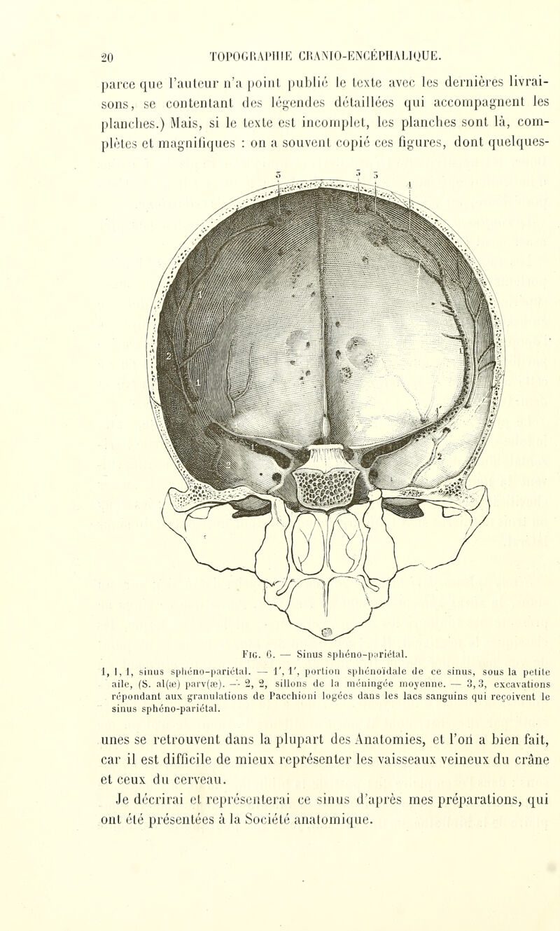 parce que l'auteur n'a point, publié le texte avec les dernières livrai- sons, se contentant des légendes détaillées qui accompagnent les planches.) Mais, si le texte est incomplet, les planches sont là, com- plètes et magnifiques : on a souvent copié ces figures, dont quelques- FiG. 6. — Sinus sphéno-puriétal. 1, 1,1, sinus sphéno-pariétal. — !',!', portion spliûnoïdale de ce sinus, sous la petite aile, (S. al(te) parv(8e). -- 2, 2, sillons de la méningée moyenne. — 3,3, excavations répondant aux granulations de Pacchioni logées dans les lacs sanguins qui reçoivent le sinus sphéno-pariétal. unes se retrouvent dans la plupart des Anatomies, et l'on a bien fait, car il est difficile de mieux représenter les vaisseaux veineux du crâne et ceux du cerveau. Je décrirai et représenterai ce sinus d'après mes préparations, qui ont été présentées à la Société anatomique.