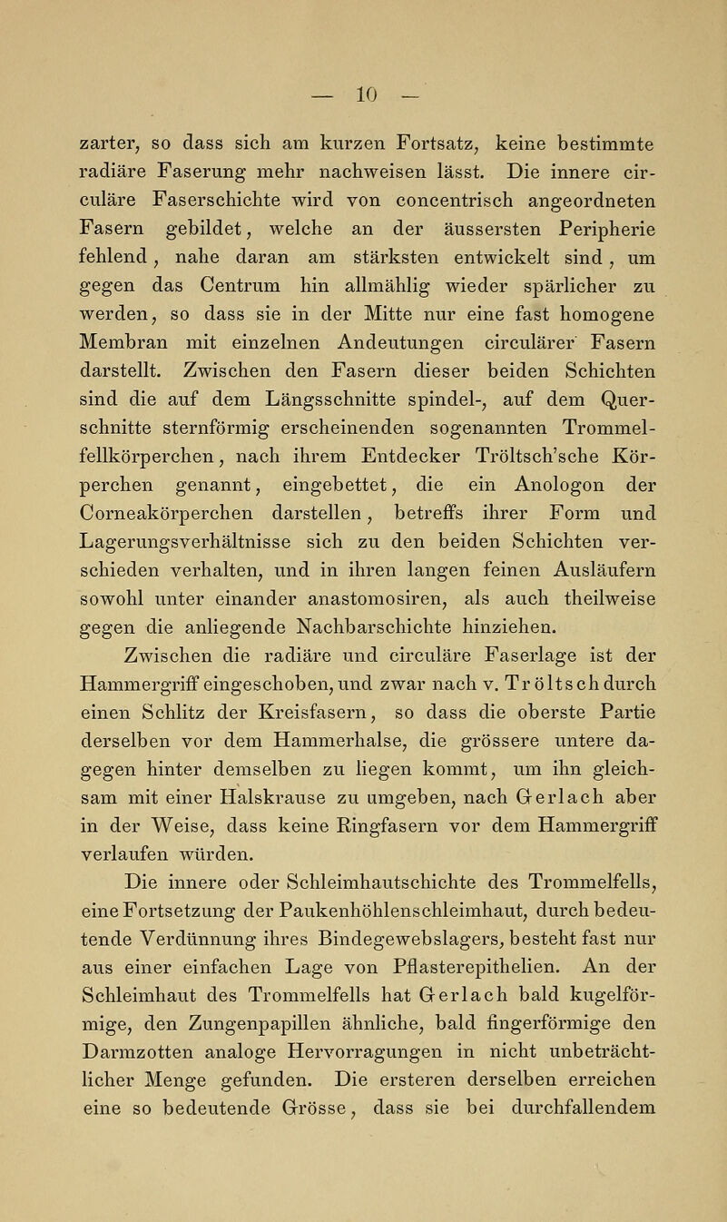 zarter, so dass sich am kurzen Fortsatz, keine bestimmte radiäre Faserung mehr nachweisen lässt. Die innere cir- culäre Faserschichte wird von concentrisch angeordneten Fasern gebildet, welche an der äussersten Peripherie fehlend, nahe daran am stärksten entwickelt sind; um gegen das Centrum hin allmählig wieder spärlicher zu werden, so dass sie in der Mitte nur eine fast homogene Membran mit einzelnen Andeutungen circulärer Fasern darstellt. Zwischen den Fasern dieser beiden Schichten sind die auf dem Längsschnitte spindel-, auf dem Quer- schnitte sternförmig erscheinenden sogenannten Trommel- fellkörperchen, nach ihrem Entdecker Tröltsch'sche Kör- perchen genannt, eingebettet, die ein Anologon der Corneakörperchen darstellen, betreffs ihrer Form und Lagerungsverhältnisse sich zu den beiden Schichten ver- schieden verhalten, und in ihren langen feinen Ausläufern sowohl unter einander anastomosiren, als auch theilweise gegen die anliegende Nachbarschichte hinziehen. Zwischen die radiäre und circuläre Faserlage ist der Hammergriff eingeschoben, und zwar nach v. Tröltschdurch einen Schlitz der Kreisfasern, so dass die oberste Partie derselben vor dem Hammerhalse, die grössere untere da- gegen hinter demselben zu liegen kommt, um ihn gleich- sam mit einer Halskrause zu umgeben, nach Gerlach aber in der Weise, dass keine Ringfasern vor dem Hammergriff verlaufen würden. Die innere oder Schleimhautschichte des Trommelfells, eine Fortsetzung der Paukenhöhlenschleimhaut, durch bedeu- tende Verdünnung ihres Bindegewebslagers, besteht fast nur aus einer einfachen Lage von Pflasterepithelien. An der Schleimhaut des Trommelfells hat Gerlach bald kugelför- mige, den Zungenpapillen ähnliche, bald fingerförmige den Darmzotten analoge Hervorragungen in nicht unbeträcht- licher Menge gefunden. Die ersteren derselben erreichen eine so bedeutende Grösse, dass sie bei durchfallendem