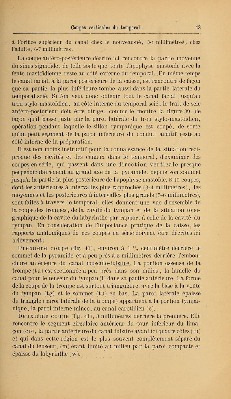 à l'orifice supérieur du canal chez le nouveau-né, 3-4 millimètres, chez l'adulte, 6-7 millimètres. La coupe antéro-postérieure décrite ici rencontre la partie moyenne du sinus sigmoïde, de telle sorte que toute l'apophyse mastoïde avec la fente mastoïdienne reste au côté externe du temporal. En même temps le canal facial, à la paroi postérieure de la caisse, est rencontré de façon que sa partie la plus inférieure tombe aussi dans la partie latérale du temporal scié. Si l'on veut donc obtenir tout le canal facial jusqu'au trou stylo-mastoïdien, au côté interne du temporal scié, le trait de scie antéro-postérieur doit être dirigé, comme le montre la figure 39, de façon qu'il passe juste par la paroi latérale du trou stylo-mastoïdien, opération pendant laquelle le sillon tympanique est coupé, de sorte qu'un petit segment de la paroi inférieure du conduit auditif reste au côté interne de la préparation. Il est non moins instructif pour la connaissance de la situation réci- proque des cavités et des canaux dans le temporal, d'examiner des coupes en série, qui passent dans une direction verticale presque perpendiculairement au grand axe de la pyramide, depuis son sommet jusqu'à la partie la plus postérieure de l'apophyse mastoïde. 8-10 coupes, dont les antérieures à intervalles plus rapprochés (3-4 millimètres), les moyennes et les postérieures à intervalles plus grands (5-6 millimètres), sont faites à travers le temporal ; elles donnent une vue d'ensemble de la coupe des trompes, de la cavité du tympan et de la situation topo- graphique de la cavité du labyrinthe par rapport à celle de la cavité du tympan. En considération de l'importance pratique de la caisse, les rapports anatomiques de ces coupes en série doivent être décrites ici brièvement : Première coupe (flg. 40), environ à 1 '/2 centimètre derrière le sommet de la pyramide et à peu près à 5 millimètres derrière l'embou- chure antérieure du canal musculo-tubaire. La portion osseuse de la trompe (tu) est sectionnée à peu près dans son milieu, la lamelle du canal pour le tenseur du tympan (1) dans sa partie antérieure. La forme de la coupe de la trompe est surtout triangulaire, avec la base à la voûte du tympan (tg) et le sommet (tu) en bas. La paroi latérale épaisse du triangle (paroi latérale de la trompe) appartient à la portion tympa- nique, la paroi interne mince, au canal carotidien (c). Deuxième coupe (flg. 41), 3 millimètres derrière la première. Elle rencontre le segment circulaire antérieur du tour inférieur du lima- çon (co), la partie antérieure du canal tubaire ayant ici quatre côtés ( tu) et qui dans cette région est le plus souvent complètement séparé du canal du tenseur, (m) étant limité au milieu par la paroi compacte et épaisse du labyrinthe (w)..