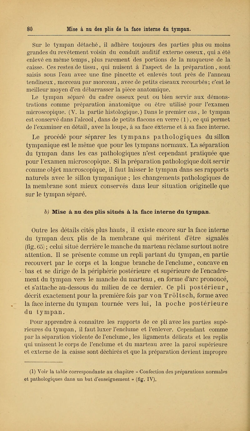 Sur le tympan détaché, il adhère toujours des parties plus ou moins grandes du revêtement voisin du conduit auditif externe osseux, qui a été enlevé en même temps, plus rarement des portions de la muqueuse de la caisse. Ces restes de tissu, qui nuisent à l'aspect de la préparation, sont saisis sous l'eau avec une fine pincette et enlevés tout près de l'anneau tendineux, morceau par morceau, avec de petits ciseaux recourbés ; c'est le meilleur moyen d'en débarrasser la pièce anatomique. Le tympan séparé du cadre osseux peut ou bien servir aux démons- trations comme préparation anatomique ou être utilisé pour l'examen microscopique. (V. la partie histologique. ) Dans le premier cas, le tympan est conservé dans l'alcool, dans de petits flacons en verre (1), ce qui permet de l'examiner en détail, avec la loupe, à sa face externe et à sa face interne. Le procédé pour séparer les tympans pathologiques du sillon tympanique est le même que pour les tympans normaux. La séparation du tympan dans les cas pathologiques n'est cependant pratiquée que pour l'examen microscopique. Si la préparation pathologique doit servir comme objet macroscopique, il faut laisser le tympan dans ses rapports naturels avec le sillon tympanique ; les changements pathologiques de la membrane sont mieux conservés dans leur situation originelle que sur le tympan séparé. b) Mise à nu des plis situés à la face interne du tympan. Outre les détails cités plus hauts, il existe encore sur la face interne du tympan deux plis de la membrane qui méritent d'être signalés (fig. 65) ; celui situé derrière le manche du marteau réclame surtout notre attention. Il se présente comme un repli partant du tympan, en partie recouvert par le corps et la longue branche de l'enclume, concave en bas et se dirige de la périphérie postérieure et supérieure de l'encadre- ment du tympan vers le manche du marteau , en forme d'arc prononcé, et s'attache au-dessous du milieu de ce dernier. Ce pli postérieur, décrit exactement pour la première fois par von Troltsch, forme avec la face interne du tympan tournée vers lui, la poche postérieure du tympan. Pour apprendre à connaître les rapports de ce pli avec les parties supé- rieures du tympan, il faut luxer l'enclume et l'enlever. Cependant comme par la séparation violente de l'enclume, les ligaments délicats et les replis qui unissent le corps de l'enclume et du marteau avec la paroi supérieure et externe de la caisse sont déchirés et que la préparation devient impropre (1) Voir la table correspondante au chapitre  Confection des préparations normales et pathologiques dans un but d'enseignement » (fig. IV).