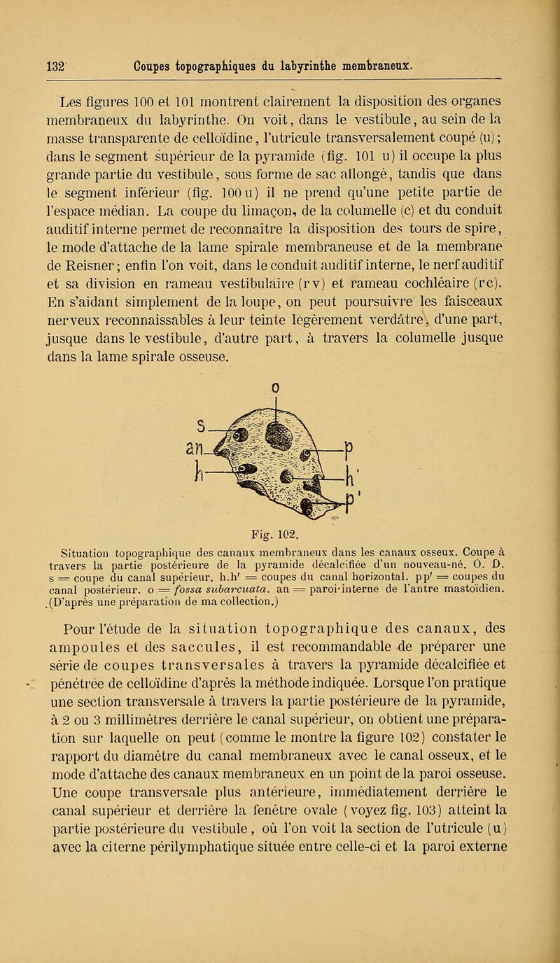 Les figures 100 et 101 montrent clairement la disposition des organes membraneux du labyrinthe. On voit, dans le vestibule, au sein de la masse transparente de eelloïdine, l'utricule transversalement coupé (u) ; dans le segment supérieur de la pyramide (fig. 101 u) il occupe la plus grande partie du vestibule, sous forme de sac allongé, tandis que dans le segment inférieur (fig. 100 u) il ne prend qu'une petite partie de l'espace médian. La coupe du limaçon, de la columelle (c) et du conduit auditif interne permet de reconnaître la disposition des tours de spire, le mode d'attache de la lame spirale membraneuse et de la membrane de Reisner; enfin l'on voit, dans le conduit auditif interne, le nerf auditif et sa division en rameau vestibulaire (rv) et rameau cochléaire (rc). En s'aidant simplement de la loupe, on peut poursuivre les faisceaux nerveux reconnaissables à leur teinte légèrement verdâtre, d'une part, jusque dans le vestibule, d'autre part, à travers la columelle jusque dans la lame spirale osseuse. Fig. 102. Situation topographique des canaux membraneux dans les canaux osseux. Coupe à travers la partie postérieure de la pyramide décalcifiée d'un nouveau-né. O. û. s =r coupe du canal supérieur, h.h' = coupes du canal horizontal, pp' = coupes du canal postérieur, o = fossa subarcuata. an = paroi-interne de l'antre mastoïdien. .(D'après une préparation de ma collection.) Pour l'étude de la situation topographique des canaux, des ampoules et des saccules, il est recommandable de préparer une série de coupes transversales à travers la pyramide décalcifiée et pénétrée de eelloïdine d'après la méthode indiquée. Lorsque l'on pratique une section transversale à travers la partie postérieure de la pyramide, à 2 ou 3 millimètres derrière le canal supérieur, on obtient une prépara- tion sur laquelle on peut (comme le montre la figure 102) constater le rapport du diamètre du canal membraneux avec le canal osseux, et le mode d'attache des canaux membraneux en un point de la paroi osseuse. Une coupe transversale plus antérieure, immédiatement derrière le canal supérieur et derrière la fenêtre ovale (vo3'ez fig. 103) atteint la partie postérieure du vestibule, où l'on voit la section de l'utricule (u) avec la citerne périlymphatique située entre celle-ci et la paroi externe