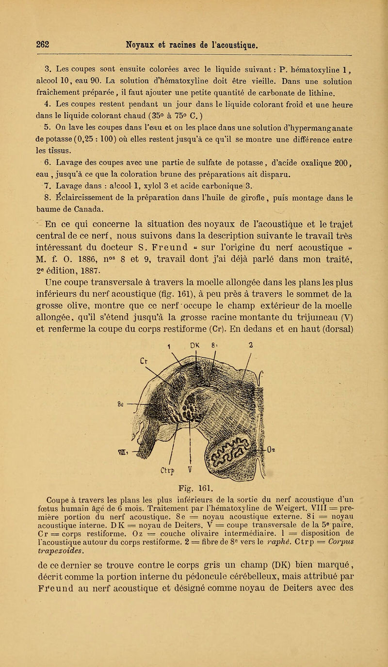 3. Les coupes sont ensuite colorées avec le liquide suivant : P. hématoxyline 1, alcool 10, eau 90. La solution d'hématoxyline doit être vieille. Dans une solution fraîchement préparée, il faut ajouter une petite quantité de carbonate de lithine. 4. Les coupes restent pendant un jour dans le liquide colorant froid et une heure dans le liquide colorant chaud (35° à 75° C. ) 5. On lave les coupes dans l'eau et on les place dans une solution d'hypermanganate de potasse (0,25 : 100) où elles restent jusqu'à ce qu'il se montre une différence entre les tissus. 6. Lavage des coupes avec une partie de sulfate de potasse , d'acide oxalique 200, eau , jusqu'à ce que la coloration brune des préparations ait disparu. 7. Lavage dans : alcool 1, xylol 3 et acide carbonique 3. 8. Eclaircissement de la préparation dans l'huile de girofle, puis montage dans le baume de Canada. ' En ce qui concerne la situation des noyaux de l'acoustique et le trajet central de ce nerf, nous suivons dans la description suivante le travail très intéressant du docteur S. Freund « sur l'origine du nerf acoustique » M.'f. O. 1886, nos 8 et 9, travail dont j'ai déjà parlé dans mon traité, 2e édition, 1887. Une coupe transversale à travers la moelle allongée dans les plans les plus inférieurs du nerf acoustique (fig. 161), à peu près à travers le sommet de la grosse olive, montre que ce nerf occupe le champ extérieur de la moelle allongée, qu'il s'étend jusqu'à la grosse racine montante du trijumeau (V) et renferme la coupe du corps restiforme (Cr). En dedans et en haut (dorsal) 2 Fig. 161. Coupe à travers les plans les plus inférieurs de la sortie du nerf acoustique d'un foetus humain âgé de 6 mois. Traitement par l'hématoxyline de Weigert. VIII = pre- mière portion du nerf acoustique. 8e = noyau acoustique externe. 8i = noyau acoustique interne. DK = noyau de Deiters. V = coupe transversale de la 5e paire. Cr = corps restiforme. Oz = couche olivaire intermédiaire. 1 = disposition de l'acoustique autour du corps restiforme. 2 = fibre de 8e vers le rallié. Ctrp = Corpus trapezoides. de ce dernier se trouve contre le corps gris un champ (DK) bien marqué, décrit comme la portion interne du pédoncule cérébelleux, mais attribué par Freund au nerf acoustique et désigné comme noyau de Deiters avec des