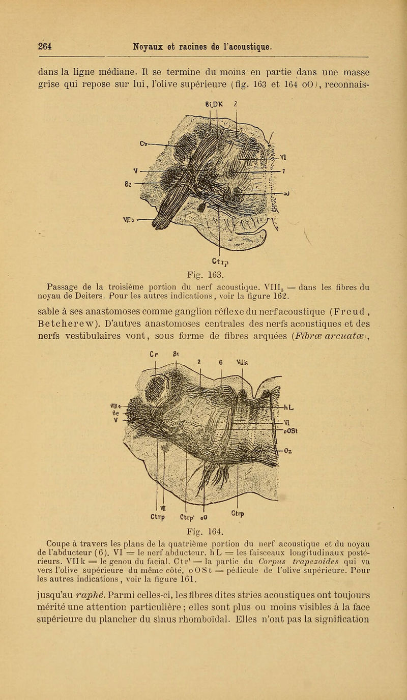 dans la ligne médiane. Il se termine du moins en partie dans une masse grise qui repose sur lui, l'olive supérieure (flg. 163 et 164 oOJ, reconnais- 8i.DK Passage de la troisième portion du nerf acoustique. VIII3 = dans les fibres du noyau de Deiters. Pour les autres indications, voir la figure 162. sable à ses anastomoses comme ganglion réflexe du nerf acoustique (Freud , Betcherew). D'autres anastomoses centrales des nerfs acoustiques et des nerfs vestibulaires vont, sous forme de fibres arquées (Fibrœ arcuatœ<, Coupe à travers les plans de la quatrième portion du nerf acoustique et du noyau de l'abducteur (6). VI = le nerf abducteur. hL = les faisceaux longitudinaux posté- rieurs. VIIk = le genou du facial. Ctr' = la partie du Corpus tra-pezoid.es qui va vers l'olive supérieure du même côté, o 0 S t = pédicule de l'olive supérieure. Poul- ies autres indications, voir la figure 161. jusqu'au raphé. Parmi celles-ci, les fibres dites stries acoustiques ont toujours mérité une attention particulière ; elles sont plus ou moins visibles à la face supérieure du plancher du sinus rhomboïdal. Elles n'ont pas la signification