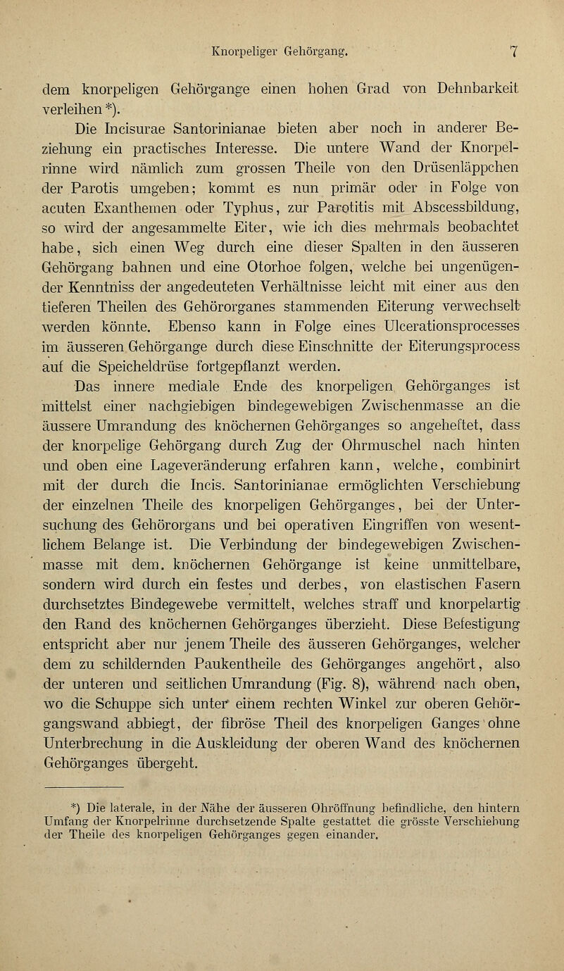 dem knorpeligen Gehörgange einen hohen Grad von Dehnbarkeit verleihen *). Die Incisurae Santorinianae bieten aber noch in anderer Be- ziehung ein practisches Interesse. Die untere Wand der Knorpel- rinne wird nämlich zum grossen Theile von den Drüsenläppchen der Parotis umgeben; kommt es nun primär oder in Folge von acuten Exanthemen oder Typhus, zur Parotitis mit Abscessbildung, so wird der angesammelte Eiter, wie ich dies mehrmals beobachtet habe, sich einen Weg durch eine dieser Spalten in den äusseren Gehörgang bahnen und eine Otorhoe folgen, welche bei ungenügen- der Kenntniss der angedeuteten Verhältnisse leicht mit einer aus den tieferen Theilen des Gehörorganes stammenden Eiterung verwechselt werden könnte. Ebenso kann in Folge eines Ulcerationsprocesses im äusseren Gehörgange durch diese Einschnitte der Eiterungsprocess auf die Speicheldrüse fortgepflanzt werden. Das innere mediale Ende des knorpeligen, Gehörganges ist mittelst einer nachgiebigen bindegewebigen Zwischenmasse an die äussere Umrandung des knöchernen Gehörganges so angeheftet, dass der knorpelige Gehörgang durch Zug der Ohrmuschel nach hinten und oben eine Lageveränderung erfahren kann, welche, combinirt mit der durch die Incis. Santorinianae ermöglichten Verschiebung der einzelnen Theile des knorpeligen Gehörganges, bei der Unter- suchung des Gehörorgans und bei operativen Eingriffen von wesent- lichem Belange ist. Die Verbindung der bindegewebigen Zwischen- masse mit dem. knöchernen Gehörgange ist keine unmittelbare, sondern wird durch ein festes und derbes, von elastischen Fasern durchsetztes Bindegewebe vermittelt, welches straff und knorpelartig den Rand des knöchernen Gehörganges überzieht. Diese Befestigung entspricht aber nur jenem Theile des äusseren Gehörganges, welcher dem zu schildernden Paukentheile des Gehörganges angehört, also der unteren und seitlichen Umrandung (Fig. 8), während nach oben, wo die Schuppe sich unter einem rechten Winkel zur oberen Gehör- gangswand abbiegt, der fibröse Theil des knorpeligen Ganges ohne Unterbrechung in die Auskleidung der oberen Wand des knöchernen Gehörganges übergeht. *) Die laterale, in der Nähe der äusseren Ohröffnung befindliche, den hintern Umfang der Knorpelrinne durchsetzende Spalte gestattet die grösste Verschiebung der Theile des knorpeligen Gehörganges gegen einander.