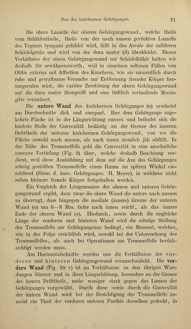 Die obere Lamelle der oberen Gehörgangswand, welche theils vom Schläfentheile, theils von der nach aussen gerückten Lamelle des Tegmen tympani gebildet wird, fällt in das Areale der mittleren Schädelgrube und wird von der dura mater (d) überkleidet. Dieses Verhältniss der obern Gehörgangswand zur Schädelhöhle halten wir deshalb für erwähnenswerth, weil in einzelnen seltenen Fällen von Otitis externa mit Affection des Knochens, wie sie namentlich durch rohe und gewaltsame Versuche zur Entfernung fremder Körper her- vorgerufen wird, die cariöse Zerstörung der obern Gehörgangswand auf die dura mater übergreift und eine tödtlich verlaufende Menin- gitis veranlasst. Die untere Wand des knöchernen Gehörganges (u) erscheint am Durchschnitte dick und compact. Ihre dem Gehörgange zuge- kehrte Fläche ist in der Längsrichtung convex und befindet sich die höchste Stelle der Convexität beiläufig an der Grenze des inneren Dritttheils der unteren knöchernen Gehörgangswand, von wo die Fläche sowohl nach aussen, als nach innen ziemlich jäh abfällt. In der Nähe des Trommelfells geht die Convexität in eine ansehnliche concave Vertiefung (Fig. 9) über, welche deshalb Beachtung ver- dient, weil diese Aushöhlung mit dem auf die Axe des Gehörganges schräg gestellten Trommelfelle einen Raum im spitzen Winkel ein- schliesst (Sinus d. äuss. Gehörganges. H. Meyer), in welchem nicht selten kleinere fremde Körper festgehalten werden. Ein Vergleich der Längenmasse der oberen und unteren Gehör- gangswand ergibt, dass zwar die obere Wand die untere nach aussen zu überragt, dass hingegen die mediale (innere) Grenze der unteren Wand (u) um 6—8 Mm. tiefer nach innen reicht, als das innere Ende der oberen Wand (o). Hiedurch, sowie durch die ungleiche Länge der vorderen und hinteren Wand wird die schräge Stellung des Trommelfells zur Gehörgangsaxe bedingt, ein Moment, welches, wie in der Folge ersichtlich wird, sowohl bei der Untersuchung des Trommelfelles, als auch bei Operationen am Trommelfelle berück- sichtigt werden muss. Am Horizontalschnitte werden uns die Verhältnisse der vor- deren und hinteren Gehörgangswand veranschaulicht. Die vor- dere Wand (Fig. 10 v) ist im Verhältnisse zu den übrigen Wan- dungen dünner und in ihrer Längsrichtung, besonders an der Grenze des innern Dritttheils, mehr weniger stark gegen das Lumen des Gehörganges vorgewölbt. Durch diese sowie durch die Convexität der untern Wand wird bei der Besichtigung des Trommelfells zu- meist ein Theil der vorderen unteren Parthie desselben gedeckt, in