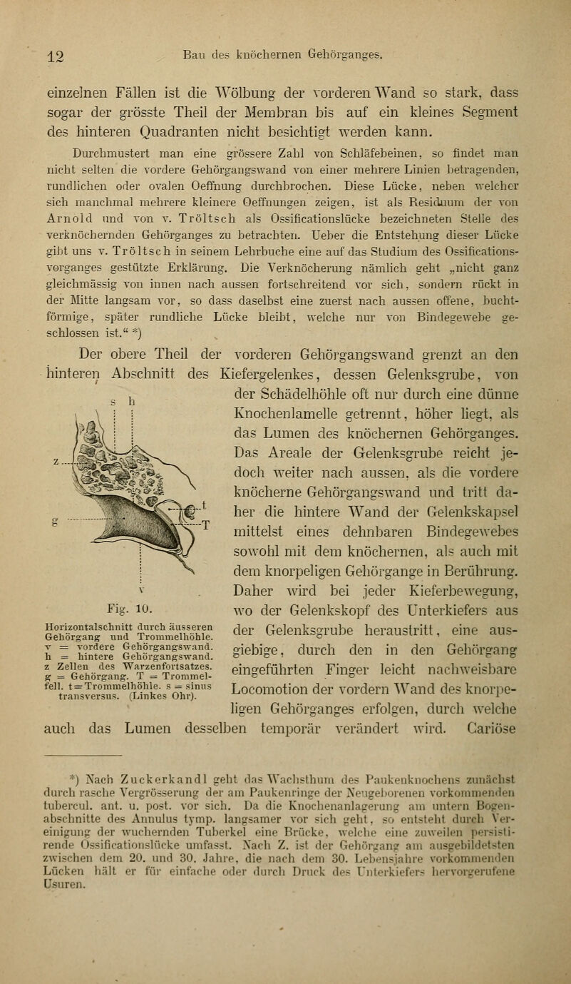 einzelnen Fällen ist die Wölbung der vorderen Wand so stark, dass sogar der grösste Theil der Membran bis auf ein kleines Segment des hinteren Quadranten nicht besichtigt werden kann. Durchmustert man eine grössere Zahl von Schläfeheinen, so findet man nicht selten die vordere Gehörgangswand von einer mehrere Linien betragenden, rundlichen oder ovalen Oeffnung durchbrochen. Diese Lücke, neben welcher sich manchmal mehrere kleinere Oeffnungen zeigen, ist als Residuum der von Arnold und von v. Tröltsch als Ossificationslücke bezeichneten Stelle des verknöchernden Gehörganges zu betrachten. Ueber die Entstehung dieser Lücke gibt uns v. Tröltsch in seinem Lehrbuche eine auf das Studium des Ossifications- vorganges gestützte Erklärung. Die Verknöcherung nämlich geht „nicht ganz gleichmässig von innen nach aussen fortschreitend vor sich, sondern rückt in der Mitte langsam vor, so dass daselbst eine zuerst nach aussen offene, bucht- förmige, später rundliche Lücke bleibt, welche nur von Bindegewebe ge- schlossen ist. *) Der obere Theil der vorderen Gehörgangswand grenzt an den hinteren Abschnitt des Kiefergelenkes, dessen Gelenksgrube, von der Schädelhöhle oft nur durch eine dünne Knochenlamelle getrennt, höher liegt, als das Lumen des knöchernen Gehörganges. Das Areale der Gelenksgrube reicht je- doch weiter nach aussen, als die vordere knöcherne Gehörgangswand und tritt da- her die hintere Wand der Gelenkskäpsel mittelst eines dehnbaren Bindegewebes sowohl mit dem knöchernen, als auch mit dem knorpeligen Gehörgange in Berührung. Daher wird bei jeder Kieferbewegung, wo der Gelenkskopf des Unterkiefers aus der Gelenksgrube heraustritt, eine aus- giebige, durch den in den Gehörgang eingeführten Finger leicht nachweisbare Locomotion der vordem Wand des knorpe- ligen Gehörganges erfolgen, durch welche auch das Lumen desselben temporär verändert wird. Cariöse Fig. 10. Horizontalschnitt durch äusseren Gehörgang und Trommelhöhle. v = vordere Gehörgangswand. h = hintere Gehörgangswand, z Zellen des Warzenfortsatzes, g = Gehörgang. T = Trommel- fell. t = Trommelhöhle. s = sinus transversus. (Linkes Ohr). *) Nach Zuckerkand! geht das Wachsthum des Paukenknochens zunächst durch rasche Vergrösserung der am Paukenringe der Neugeborenen vorkommenden tubercul. ant. u. post. vor sich. Da die Knochenanlagerung am untern B abschnitte des Annulus tymp. langsamer vor sich geht, so entstehl durch Ver- einigung der wuchernden Tuberkel eine Brück'', welche eine zuweilen persisti- rende Ussificationslücke umfasst. Nach Z. isl der Gehörgang am ausgebildetsten zwischen dem 20. und 30. Jahre, die mich dem 30. Lebensjahre vorkomme Lücken hält er für einfache oder durch Druck des Unterkiefers hervorgerufene [Isuren.