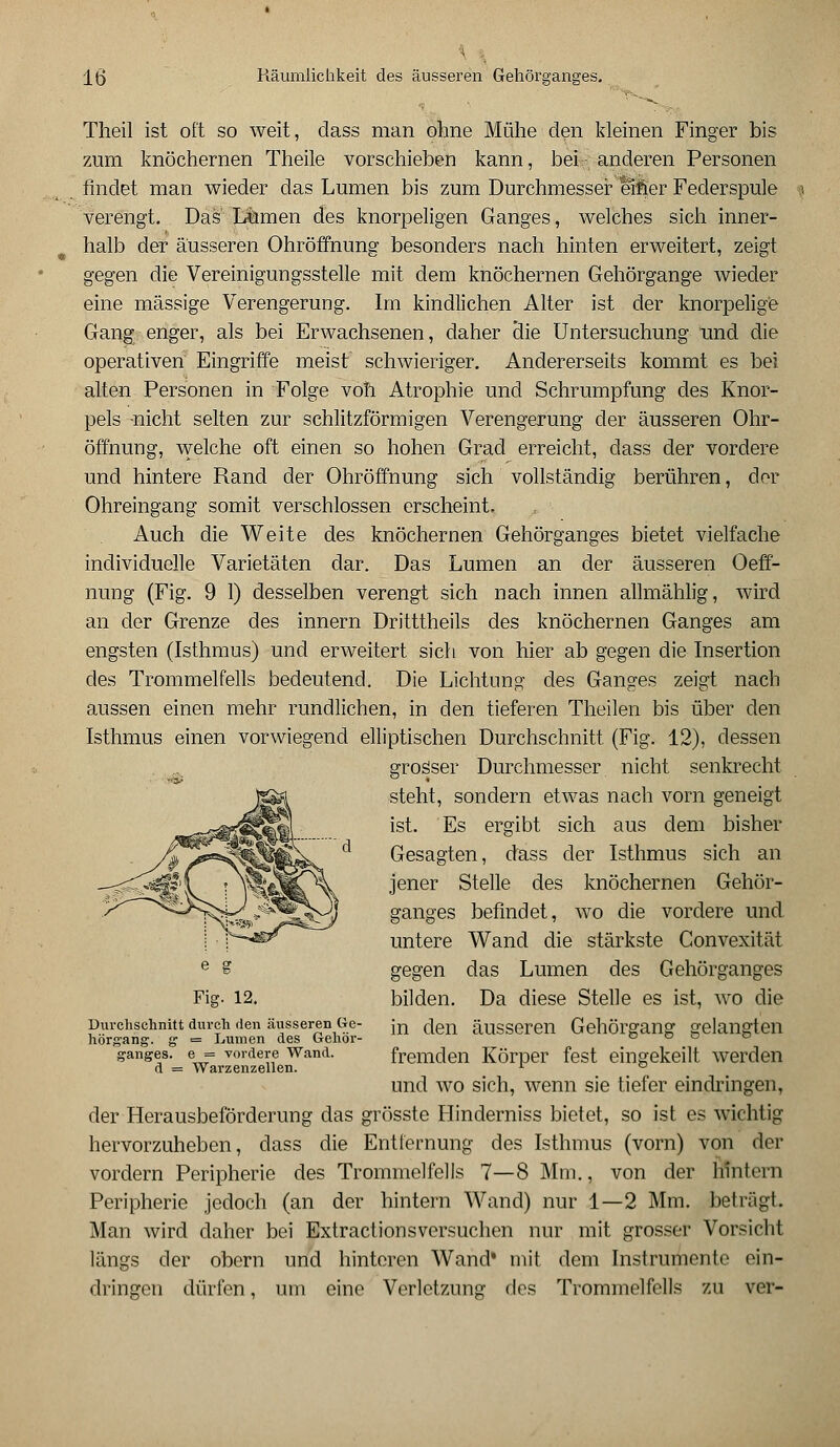 Theil ist oft so weit, class man ohne Mühe den kleinen Finger bis zum knöchernen Theile vorschieben kann, bei- anderen Personen findet man wieder das Lumen bis zum Durchmesser einer Federspule verengt. Das Lumen des knorpeligen Ganges, welches sich inner- halb der äusseren Ohröffnung besonders nach hinten erweitert, zeigt gegen die Vereinigungsstelle mit dem knöchernen Gehörgange wieder eine massige Verengerung. Im kindlichen Alter ist der knorpelige Gang enger, als bei Erwachsenen, daher die Untersuchung und die operativen Eingriffe meist schwieriger. Andererseits kommt es bei alten Personen in Folge voll Atrophie und Schrumpfung des Knor- pels -nicht selten zur schlitzförmigen Verengerung der äusseren Ohr- öffnung, welche oft einen so hohen Grad erreicht, dass der vordere und hintere Rand der Ohröffnung sich vollständig berühren, der Ohreingang somit verschlossen erscheint. Auch die Weite des knöchernen Gehörganges bietet vielfache individuelle Varietäten dar. Das Lumen an der äusseren Oeff- nung (Fig. 9 1) desselben verengt sich nach innen allmählig, wird an der Grenze des innern Dritttheils des knöchernen Ganges am engsten (Isthmus) und erweitert sich von hier ab gegen die Insertion des Trommelfells bedeutend. Die Lichtung des Ganges zeigt nach aussen einen mehr rundlichen, in den tieferen Theilen bis über den Isthmus einen vorwiegend elliptischen Durchschnitt (Fig. 12), dessen grosser Durchmesser nicht senkrecht steht, sondern etwas nach vorn geneigt ist. Es ergibt sich aus dem bisher Gesagten, dass der Isthmus sich an jener Stelle des knöchernen Gehör- ganges befindet, wo die vordere und untere Wand die stärkste Convexität gegen das Lumen des Gehörganges bilden. Da diese Stelle es ist, wo die in den äusseren Gehörgang gelangten fremden Körper fest eingekeilt werden und wo sich, wenn sie tiefer eindringen, der Herausbeförderung das grösste Hinderniss bietet, so ist es wichtig hervorzuheben, dass die Entfernung des Isthmus (vorn) von der vordem Peripherie des Trommelfells 7—8 Mm., von der hintern Peripherie jedoch (an der hintern Wand) nur 1—2 Mm. beträgt. Man wird daher bei Extractionsversuchen nur mit grosser Vorsicht längs der obern und hinteren Wand' mit dem Instrumente ein- dringen dürfen, um eine Verletzung fies Trommelfells zu vor- Fig. 12. Durchschnitt durch den äusseren Ge- hörgang, g = Lumen des Gehör- ganges, e = vordere Wand, d = Warzenzellen.