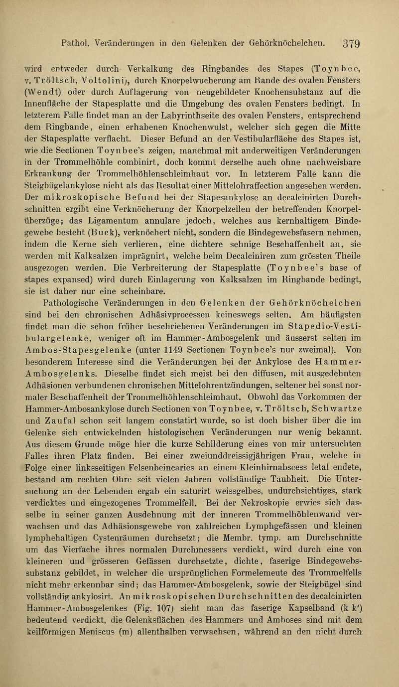 wird entweder durch Verkalkung des Ringbandes des Stapes (Toynbee, v. Tröltsch, Voltolinij, durch Knorpelwucherung am Rande des ovalen Fensters (Wendt) oder durch Auflagerung von neugebildeter Knochensubstanz auf die Innenfläche der Stapesplatte und die Umgebung des ovalen Fensters bedingt. In letzterem Falle findet man an der Labyrinthseite des ovalen Fensters, entsprechend dem Ringbande, einen erhabenen Knochenwulst, welcher sich gegen die Mitte der Stapesplatte verflacht. Dieser Refund an der Vestibularfläche des Stapes ist, wie die Sectionen Toynbee's zeigen, manchmal mit anderweitigen Veränderungen in der Trommelhöhle combinirt, doch kommt derselbe auch ohne nachweisbare Erkrankung der Trommelhöhlenschleimhaut vor. In letzterem Falle kann die Steigbügelankylose nicht als das Resultat einer Mittelohraffection angesehen werden. Der mikroskopische Refund bei der Stapesankylose an decalcinirten Durch- schnitten ergibt eine Verknöcherung der Knorpelzellen der betreffenden Knorpel- überzüge; das Ligamentum annulare jedoch, welches aus kernhaltigem Rinde- gewebe besteht (Ruck), verknöchert nicht, sondern die Rindegewebsfasern nehmen, indem die Kerne sich verlieren, eine dichtere sehnige Reschaffenheit an, sie werden mit Kalksalzen imprägnirt, welche beim Decalciniren zum grössten Theile ausgezogen werden. Die Verbreiterung der Stapesplatte (Toynbee's base of stapes expansed) wird durch Einlagerung von Kalksalzen im Ringbande bedingt, sie ist daher nur eine scheinbare. Pathologische Veränderungen in den Gelenken der Gehörknöchelchen sind bei den chronischen Adhäsivprocessen keineswegs selten. Am häufigsten findet man die schon früher beschriebenen Veränderungen im Stapedio-Vesti- bulargelenke, weniger oft im Hammer-Ambosgelenk und äusserst selten im Ambos-Stapesgelenke (unter 1149 Sectionen Toynbee's nur zweimal). Von besonderem Interesse sind die Veränderungen bei der Ankylose des Hammer- Ambosgelenks. Dieselbe findet sich meist bei den diffusen, mit ausgedehnten Adhäsionen verbundenen chronischen Mittelohrentzündungen, seltener bei sonst nor- maler Reschaffenheit der Trommelhöhlenschleimhaut. Obwohl das Vorkommen der Hammer-Ambosankylose durch Sectionen von Toynbee, v. Tröltsch, Schwartze und Zaufal schon seit langem constatirt wurde, so ist doch bisher über die im Gelenke sich entwickelnden histologischen Veränderungen nur wenig bekannt. Aus diesem Grunde möge hier die kurze Schilderung eines von mir untersuchten Falles ihren Platz finden. Rei einer zweiunddreissigjährigen Frau, welche in Folge einer linksseitigen Felsenbeincaries an einem Kleinhirnabscess letal endete, bestand am rechten Ohre seit vielen Jahren vollständige Taubheit. Die Unter- suchung an der Lebenden ergab ein saturirt weissgelbes, undurchsichtiges, stark verdicktes und eingezogenes Trommelfell. Rei der Nekroskopie erwies sich das- selbe in seiner ganzen Ausdehnung mit der inneren Trommelhöhlenwand ver- wachsen und das Adhäsionsgewebe von zahlreichen Lymphgefässen und kleinen lymphehaltigen Gystenräumen durchsetzt; die Membr. tymp. am Durchschnitte um das Vierfache ihres normalen Durchmessers verdickt, wird durch eine von kleineren und grösseren Gefässen durchsetzte, dichte, faserige Rindegewebs- substanz gebildet, in welcher die ursprünglichen Formelemeute des Trommelfells nicht mehr erkennbar sind; das Hammer-Ambosgelenk, sowie der Steigbügel sind vollständig ankylosirt. An mikroskopischen Durchschnitten des decalcinirten Hammer-Ambosgelenkes (Fig. 107j sieht man das faserige Kapselband (k k') bedeutend verdickt, die Gelenksflächen des Hammers und Amboses sind mit dem keilförmigen Meniscus (m) allenthalben verwachsen, während an den nicht durch