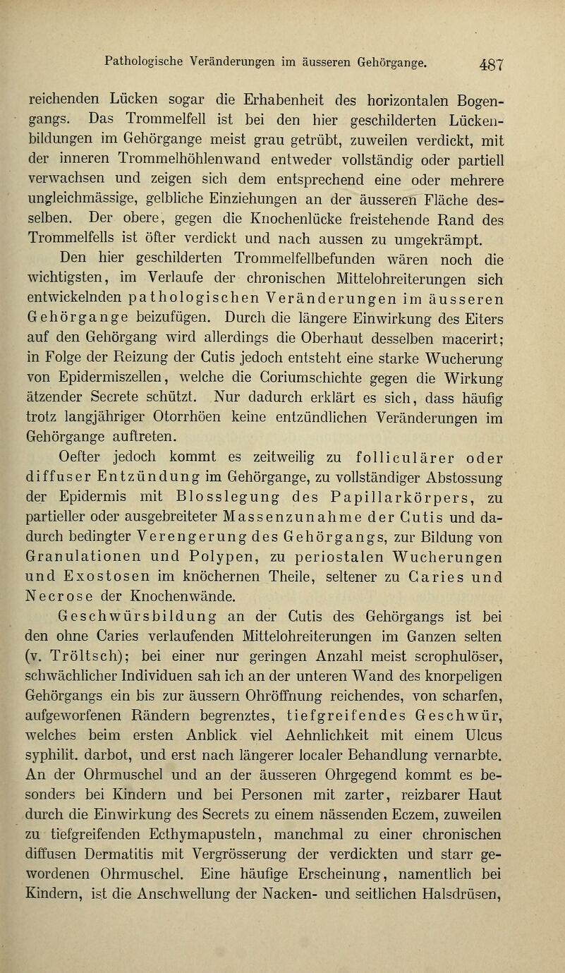 reichenden Lücken sogar die Erhabenheit des horizontalen Bogen- gangs. Das Trommelfell ist bei den hier geschilderten Lücken- bildungen im Gehörgange meist grau getrübt, zuweilen verdickt, mit der inneren Trommelhöhlen wand entweder vollständig oder partiell verwachsen und zeigen sich dem entsprechend eine oder mehrere ungleichmässige, gelbliche Einziehungen an der äusseren Fläche des- selben. Der obere, gegen die Knochenlücke freistehende Rand des Trommelfells ist öfter verdickt und nach aussen zu umgekrämpt. Den hier geschilderten Trommelfellbefunden wären noch die wichtigsten, im Verlaufe der chronischen Mittelohreiterungen sich entwickelnden pathologischen Veränderungen im äusseren Gehörgange beizufügen. Durch die längere Einwirkung des Eiters auf den Gehörgang wird allerdings die Oberhaut desselben macerirt; in Folge der Reizung der Cutis jedoch entsteht eine starke Wucherung von Epidermiszellen, welche die Coriumschichte gegen die Wirkung ätzender Secrete schützt. Nur dadurch erklärt es sich, dass häufig trotz langjähriger Otorrhöen keine entzündlichen Veränderungen im Gehörgange auftreten. Oefter jedoch kommt es zeitweilig zu folliculärer oder diffuser Entzündung im Gehörgange, zu vollständiger Abstossung der Epidermis mit Blosslegung des Papillarkörpers, zu partieller oder ausgebreiteter Massenzunahme der Cutis und da- durch bedingter Verengerung des Gehörgangs, zur Bildung von Granulationen und Polypen, zu periostalen Wucherungen und Exostosen im knöchernen Theile, seltener zu Caries und Necrose der Knochenwände. Geschwürsbildung an der Cutis des Gehörgangs ist bei den ohne Caries verlaufenden Mittelohreiterungen im Ganzen selten (v. Tröltsch); bei einer nur geringen Anzahl meist scrophulöser, schwächlicher Individuen sah ich an der unteren Wand des knorpeligen Gehörgangs ein bis zur äussern Ohröffnung reichendes, von scharfen, aufgeworfenen Rändern begrenztes, tiefgreifendes Geschwür, welches beim ersten Anblick viel Aehnlichkeit mit einem Ulcus syphilit. darbot, und erst nach längerer localer Behandlung vernarbte. An der Ohrmuschel und an der äusseren Ohrgegend kommt es be- sonders bei Kindern und bei Personen mit zarter, reizbarer Haut durch die Einwirkung des Secrets zu einem nässenden Eczem, zuweilen zu tiefgreifenden Ecthymapusteln, manchmal zu einer chronischen diffusen Dermatitis mit Vergrösserung der verdickten und starr ge- wordenen Ohrmuschel. Eine häufige Erscheinung, namentlich bei Kindern, ist die Anschwellung der Nacken- und seitlichen Halsdrüsen,