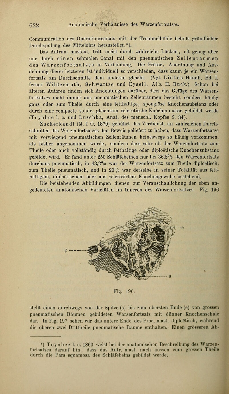 Communication des Operationscanais mit der Trommelhöhle behufs gründlicher Durchspülung des■ Mittelohrs herzustellen*). Das Antrum mastoid. tritt meist durch zahlreiche Lücken, oft genug aber nur durch einen schmalen Canal mit den pneumatischen Zellenräumen des Warzenfortsatzes in Verbindung. Die Grösse, Anordnung und Aus- dehnung dieser letzteren ist individuell so verschieden, dass kaum je ein Warzen- fortsatz am Durchschnitte dem anderen gleicht. (Vgl. Linke's Handb. Bd. I, ferner Wildermuth, Schwartze und Eysell, Alb. H. Bück.) Schon bei älteren Autoren finden sich Andeutungen darüber, dass das Gefüge des Warzen- fortsatzes nicht immer aus pneumatischen Zellenräumen besteht, sondern häufig ganz oder zum Theile durch eine fetthaltige, spongiöse Knochensubstanz oder durch eine compacte solide, gleichsam sclerotische Knochenmasse gebildet werde (Toynbee 1. c. und Luschka, Anat. des menschl. Kopfes S. 34). Zuckerkandl (M. f. 0. 1879) gebührt das Verdienst, an zahlreichen Durch- schnitten des Warzenfortsatzes den Beweis geliefert zu haben, dass Warzenfortsätze mit vorwiegend pneumatischen Zellenräumen keineswegs so häufig vorkommen, als bisher angenommen wurde, sondern dass sehr oft der Warzenfortsatz zum Theile oder auch vollständig durch fetthaltige oder diploetische Knochensubstanz gebildet wird. Er fand unter 250 Schläfebeinen nur bei 36,8% den Warzenfortsatz durchaus pneumatisch, in 43,2% war der Warzenfortsatz zum Theile diploetisch, zum Theile pneumatisch, und in 20% war derselbe in seiner Totalität aus fett- haltigem, diploetischem oder aus sclerosirtem Knochengewebe bestehend. Die beistehenden Abbildungen dienen zur Veranschaulichung der eben an- gedeuteten anatomischen Varietäten im Inneren des Warzenfortsatzes. Fig. 196 g — Fig. 196. stellt einen durchwegs von der Spitze (s) bis zum obersten Ende (e) von grossen pneumatischen Bäumen gebildeten Warzenfortsatz mit dünner Knochenschale dar. In Fig. 197 sehen wir das untere Ende des Proc. mast. diploetisch, während die oberen zwei Drittheile pneumatische Bäume enthalten. Einen grösseren Ab- *) Toynbee 1. c. 1860 weist bei der anatomischen Beschreibung des Warzen- fortsatzes darauf hin, dass das Antr. mast. nach aussen zum grossen Theile durch die Pars squamosa des Schläfebeins gebildet werde.