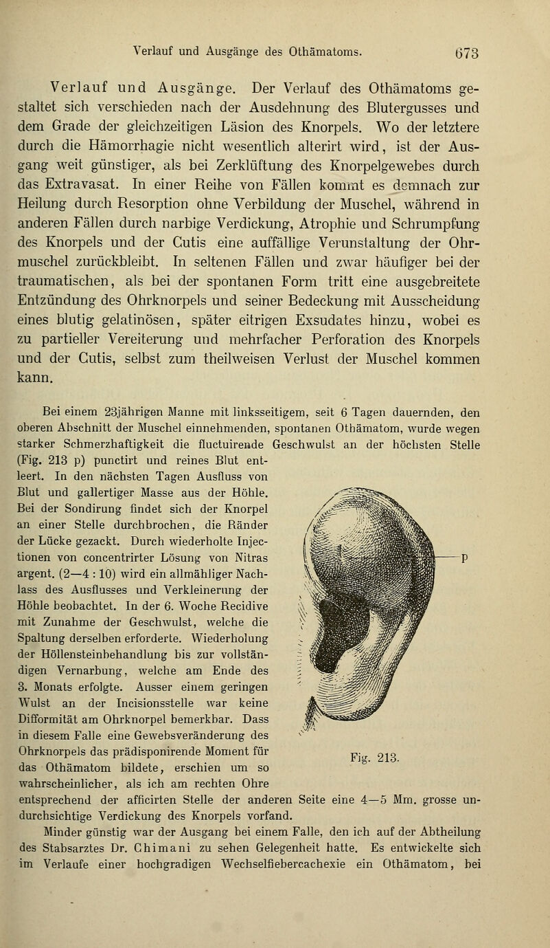 Verlauf und Ausgänge. Der Verlauf des Othämatoms ge- staltet sich verschieden nach der Ausdehnung des Blutergusses und dem Grade der gleichzeitigen Läsion des Knorpels. Wo der letztere durch die Hämorrhagie nicht wesentlich alterirt wird, ist der Aus- gang weit günstiger, als bei Zerklüftung des Knorpelgewebes durch das Extravasat. In einer Reihe von Fällen kommt es demnach zur Heilung durch Resorption ohne Verbildung der Muschel, während in anderen Fällen durch narbige Verdickung, Atrophie und Schrumpfung des Knorpels und der Cutis eine auffällige Verunstaltung der Ohr- muschel zurückbleibt. In seltenen Fällen und zwar häufiger bei der traumatischen, als bei der spontanen Form tritt eine ausgebreitete Entzündung des Ohrknorpels und seiner Bedeckung mit Ausscheidung eines blutig gelatinösen, später eitrigen Exsudates hinzu, wobei es zu partieller Vereiterung und mehrfacher Perforation des Knorpels und der Cutis, selbst zum theilweisen Verlust der Muschel kommen kann. Bei einem 23jährigen Manne mit linksseitigem, seit 6 Tagen dauernden, den oberen Abschnitt der Muschel einnehmenden, spontanen Othämatom, wurde wegen starker Schmerzhaftigkeit die fluetuirende Geschwulst an der höchsten Stelle (Fig. 213 p) punetirt und reines Blut ent- leert. In den nächsten Tagen Ausfluss von Blut und gallertiger Masse aus der Höhle. Bei der Sondirung findet sich der Knorpel an einer Stelle durchbrochen, die Ränder der Lücke gezackt. Durch wiederholte Injec- tionen von concentrirter Lösung von Nitras argent. (2—4 : 10) wird ein allmähliger Nach- lass des Ausflusses und Verkleinerung der Höhle beobachtet. In der 6. Woche Recidive mit Zunahme der Geschwulst, welche die Spaltung derselben erforderte. Wiederholung der Höllensteinbehandlung bis zur vollstän- digen Vernarbung, welche am Ende des 3. Monats erfolgte. Ausser einem geringen Wulst an der Incisionsstelle war keine Difformität am Ohrknorpel bemerkbar. Dass in diesem Falle eine Gewebsveränderung des Ohrknorpels das prädisponirende Moment für das Othämatom bildete, erschien um so wahrscheinlicher, als ich am rechten Ohre entsprechend der afficirten Stelle der anderen Seite eine 4—5 Mm. grosse un- durchsichtige Verdickung des Knorpels vorfand. Minder günstig war der Ausgang bei einem Falle, den ich auf der Abtheilung des Stabsarztes Dr. Ghimani zu sehen Gelegenheit hatte. Es entwickelte sich im Verlaufe einer hochgradigen Wechselflebercachexie ein Othämatom, bei Fig. 213.