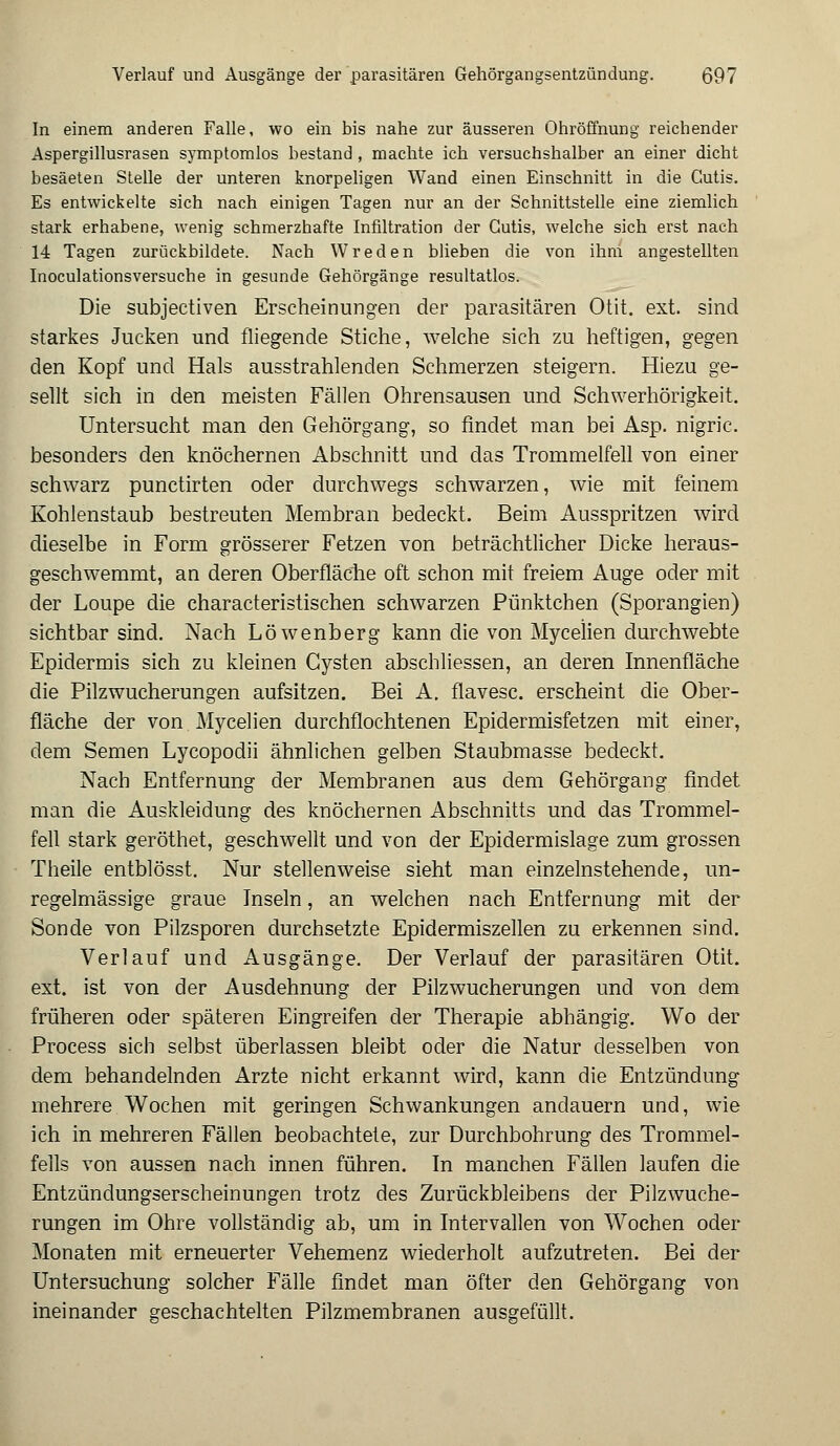 In einem anderen Falle, wo ein bis nahe zur äusseren Ohröffnung reichender Aspergillusrasen symptomlos bestand, machte ich versuchshalber an einer dicht besäeten Stelle der unteren knorpeligen Wand einen Einschnitt in die Cutis. Es entwickelte sich nach einigen Tagen nur an der Schnittstelle eine ziemlich stark erhabene, wenig schmerzhafte Infiltration der Cutis, welche sich erst nach 14 Tagen zurückbildete. Nach W reden blieben die von ihm angestellten Inoculationsversuche in gesunde Gehörgänge resultatlos. Die subjectiven Erscheinungen der parasitären Otit. ext. sind starkes Jucken und fliegende Stiche, welche sich zu heftigen, gegen den Kopf und Hals ausstrahlenden Schmerzen steigern. Hiezu ge- sellt sich in den meisten Fällen Ohrensausen und Schwerhörigkeit. Untersucht man den Gehörgang, so findet man bei Asp. nigric. besonders den knöchernen Abschnitt und das Trommelfell von einer schwarz punctirten oder durchwegs schwarzen, wie mit feinem Kohlenstaub bestreuten Membran bedeckt. Beim Ausspritzen wird dieselbe in Form grösserer Fetzen von beträchtlicher Dicke heraus- geschwemmt, an deren Oberfläche oft schon mit freiem Auge oder mit der Loupe die characteristischen schwarzen Pünktchen (Sporangien) sichtbar sind. Nach Löwenberg kann die von Mycelien durchwebte Epidermis sich zu kleinen Cysten abschliessen, an deren Innenfläche die Pilzwucherungen aufsitzen. Bei A. flavesc. erscheint die Ober- fläche der von Mycelien durchflochtenen Epidermisfetzen mit einer, dem Semen Lycopodii ähnlichen gelben Staubmasse bedeckt. Nach Entfernung der Membranen aus dem Gehörgang findet man die Auskleidung des knöchernen Abschnitts und das Trommel- fell stark geröthet, geschwellt und von der Epidermislage zum grossen Theile entblösst. Nur stellenweise sieht man einzelnstehende, un- regelmässige graue Inseln, an welchen nach Entfernung mit der Sonde von Pilzsporen durchsetzte Epidermiszellen zu erkennen sind. Verlauf und Ausgänge. Der Verlauf der parasitären Otit. ext. ist von der Ausdehnung der Pilzwucherungen und von dem früheren oder späteren Eingreifen der Therapie abhängig. Wo der Process sich selbst überlassen bleibt oder die Natur desselben von dem behandelnden Arzte nicht erkannt wird, kann die Entzündung mehrere Wochen mit geringen Schwankungen andauern und, wie ich in mehreren Fällen beobachtete, zur Durchbohrung des Trommel- fells von aussen nach innen führen. In manchen Fällen laufen die Entzündungserscheinungen trotz des Zurückbleibens der Pilzwuche- rungen im Ohre vollständig ab, um in Intervallen von Wochen oder Monaten mit erneuerter Vehemenz wiederholt aufzutreten. Bei der Untersuchung solcher Fälle findet man öfter den Gehörgang von ineinander geschachtelten Pilzmembranen ausgefüllt.