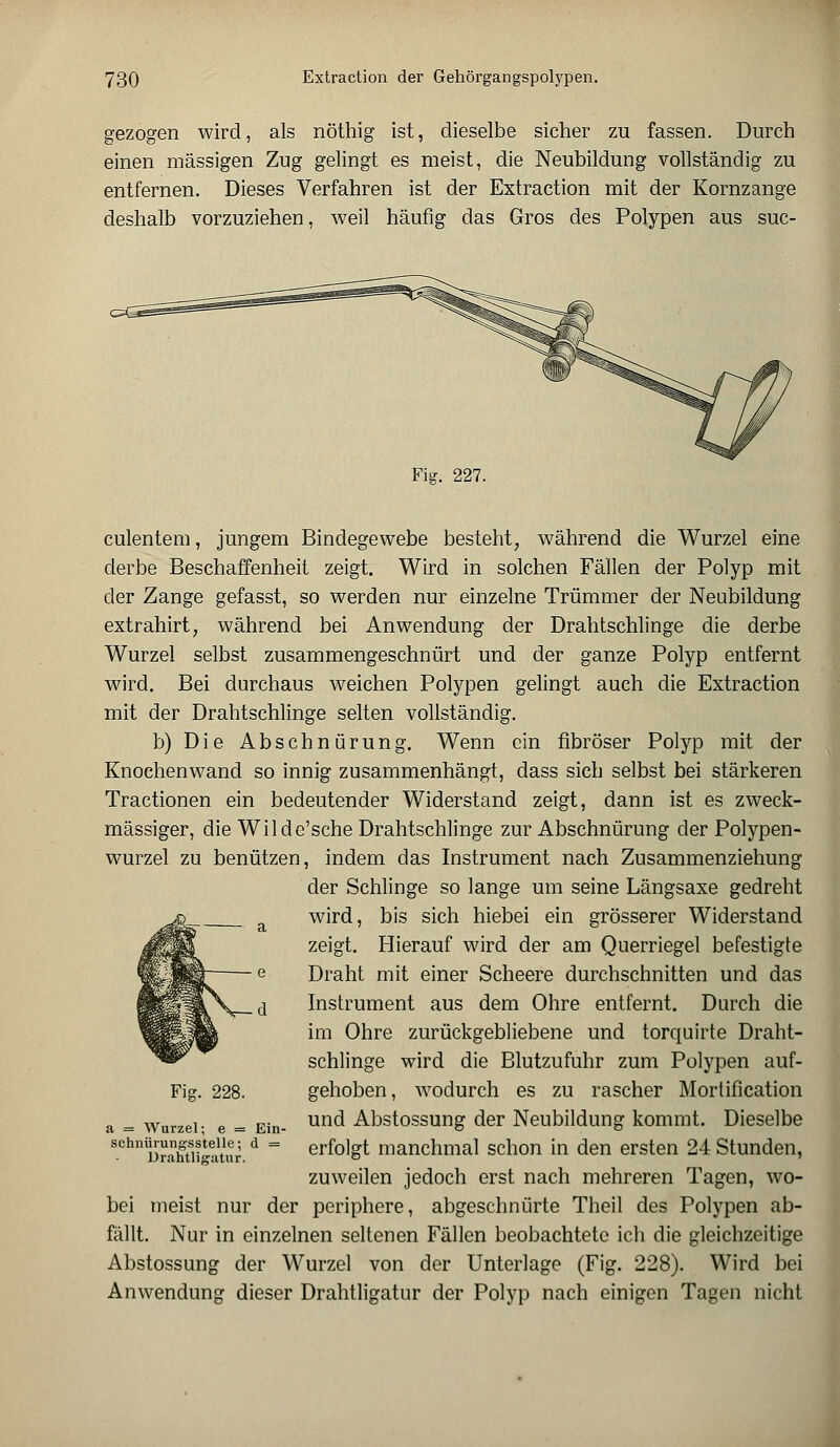 gezogen wird, als nöthig ist, dieselbe sicher zu fassen. Durch einen massigen Zug gelingt es meist, die Neubildung vollständig zu entfernen. Dieses Verfahren ist der Extraction mit der Kornzange deshalb vorzuziehen, weil häufig das Gros des Polypen aus suc- Fig. 227. culentem, jungem Bindegewebe besteht, während die Wurzel eine derbe Beschaffenheit zeigt. Wird in solchen Fällen der Polyp mit der Zange gefasst, so werden nur einzelne Trümmer der Neubildung extrahirt, während bei Anwendung der Drahtschlinge die derbe Wurzel selbst zusammengeschnürt und der ganze Polyp entfernt wird. Bei durchaus weichen Polypen gelingt auch die Extraction mit der Drahtschlinge selten vollständig. b) Die Abschnürung. Wenn ein fibröser Polyp mit der Knochenwand so innig zusammenhängt, dass sich selbst bei stärkeren Tractionen ein bedeutender Widerstand zeigt, dann ist es zweck- mässiger, die Wilde'sche Drahtschlinge zur Abschnürung der Polypen- wurzel zu benützen, indem das Instrument nach Zusammenziehung der Schlinge so lange um seine Längsaxe gedreht wird, bis sich hiebei ein grösserer Widerstand zeigt. Hierauf wird der am Querriegel befestigte Draht mit einer Scheere durchschnitten und das Instrument aus dem Ohre entfernt. Durch die im Ohre zurückgebliebene und torquirte Draht- schlinge wird die Blutzufuhr zum Polypen auf- gehoben, wodurch es zu rascher Mortification und Abstossung der Neubildung kommt. Dieselbe erfolgt manchmal schon in den ersten 24 Stunden, zuweilen jedoch erst nach mehreren Tagen, wo- bei meist nur der periphere, abgeschnürte Theil des Polypen ab- fällt. Nur in einzelnen seltenen Fällen beobachtete ich die gleichzeitige Abstossung der Wurzel von der Unterlage (Fig. 228). Wird bei Anwendung dieser Drahtligatur der Polyp nach einigen Tagen nicht Fig. 228. a = Wurzel; e = Ein schnüiungsstelle; d = Drahtligatur.