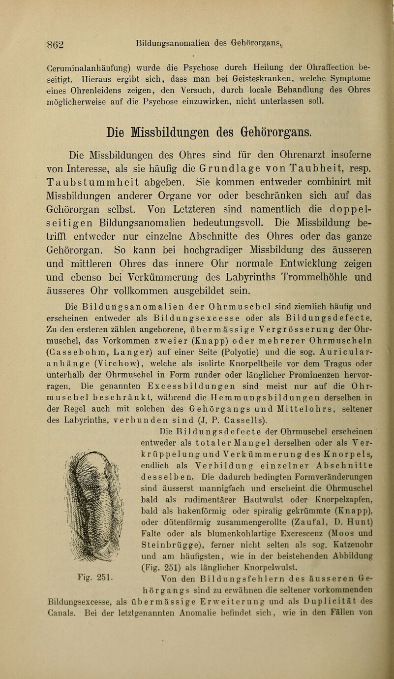 Ceruminalanhäufung) wurde die Psychose durch Heilung der Ohraffection be- seitigt. Hieraus ergibt sich, dass man bei Geisteskranken, welche Symptome eines Ohrenleidens zeigen, den Versuch, durch locale Behandlung des Ohres möglicherweise auf die Psychose einzuwirken, nicht unterlassen soll. Die Missbildungen des Gehörorgans. Die Missbildungen des Ohres sind für den Ohrenarzt insoferne von Interesse, als sie häufig die Grundlage vonTaubheit, resp. Taubstummheit abgeben. Sie kommen entweder combinirt mit Missbildungen anderer Organe vor oder beschränken sich auf das Gehörorgan selbst. Von Letzteren sind namentlich die doppel- seitigen Bildungsanomalien bedeutungsvoll. Die Missbildung be- trifft entweder nur einzelne Abschnitte des Ohres oder das ganze Gehörorgan. So kann bei hochgradiger Missbildung des äusseren und mittleren Ohres das innere Ohr normale Entwicklung zeigen und ebenso bei Verkümmerung des Labyrinths Trommelhöhle und äusseres Ohr vollkommen ausgebildet sein. Die Bildungsanomalien der Ohrmuschel sind ziemlich häufig und erscheinen entweder als Bildungsexcesse oder als Bi 1 dungsd ef ect e. Zu den ersteren zählen angeborene, übermässige Vergrösserung der Ohr- muschel, das Vorkommen zweier (Knapp) oder mehrerer Ohrmuscheln (Cassebohm, Langer) auf einer Seite (Polyotie) und die sog. Auricular- anhänge (Virchow), welche als isolirte Knorpeltheile vor dem Tragus oder unterhalb der Ohrmuschel in Form runder oder länglicher Prominenzen hervor- ragen. Die genannten Excessbildungen sind meist nur auf die Ohr- muschel beschränkt, während die Hemmungsbildungen derselben in der Begel auch mit solchen des Gehörgangs und Mittelohrs, seltener des Labyrinths, verbunden sind (J. P. Cassells). Die Bildungs d efecte der Ohrmuschel erscheinen entweder als totaler Mangel derselben oder als Ver- krüppelung und Verkümmerung des Knorpels, endlich als Verbildung einzelner Abschnitte desselben. Die dadurch bedingten Formveränderungen sind äusserst mannigfach und erscheint die Ohrmuschel bald als rudimentärer Hautwulst oder Knorpelzapfen, bald als hakenförmig oder spiralig gekrümmte (Knapp), oder dütenförmig zusammengerollte (Zaufal, D. Hunt) Falte oder als blumenkohlartige Excrescenz (Moos und Steinbrügge), ferner nicht selten als sog. Katzenohr und am häufigsten, wie in der beistehenden Abbildung (Fig. 251) als länglicher Knorpelwulst. Fig- 251. Von den Bildungsfehlem des äusseren Ge- hörgangs sind zu erwähnen die seltener vorkommenden Bildungsexcesse, als übermässige Erweiterung und als Duplicität des Canals. Bei der letztgenannten Anomalie beiludet sich, wie in den Fällen von