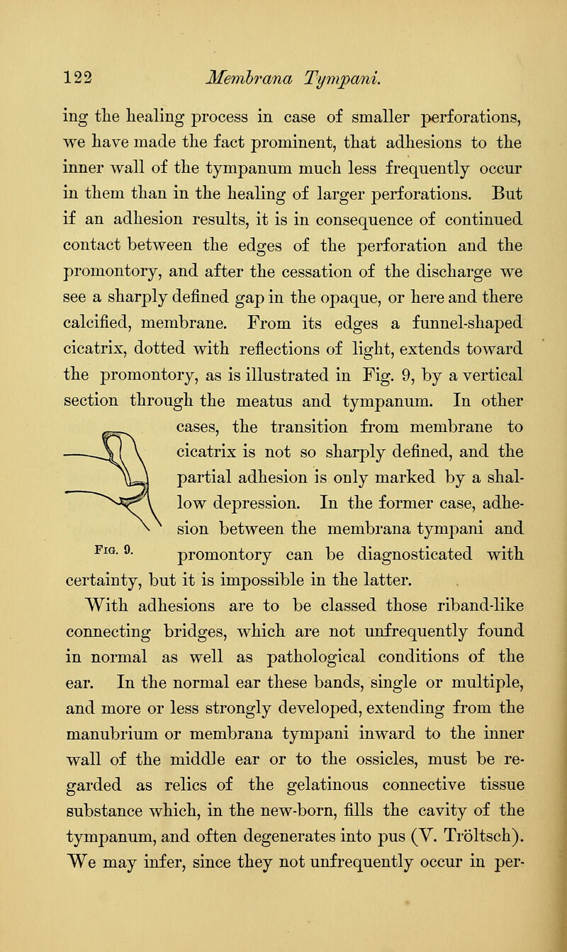 ing the healing process in case of smaller perforations, we have made the fact prominent, that adhesions to the inner wall of the tympanum much less frequently occur in them than in the healing of larger perforations. But if an adhesion results, it is in consequence of continued contact between the edges of the perforation and the promontory, and after the cessation of the discharge we see a sharply defined gap in the opaque, or here and there calcified, membrane. From its edges a funnel-shaped cicatrix, dotted with reflections of light, extends toward the promontory, as is illustrated in Fig. 9, by a vertical section through the meatus and tympanum. In other cases, the transition from membrane to cicatrix is not so sharply defined, and the partial adhesion is only marked by a shal- low depression. In the former case, adhe- sion between the membrana tympani and Fig. 9. promontory can be diagnosticated with certainty, but it is impossible in the latter. With adhesions are to be classed those riband-like connecting bridges, which are not unfrequently found in normal as well as pathological conditions of the ear. In the normal ear these bands, single or multiple, and more or less strongly developed, extending from the manubrium or membrana tympani inward to the inner wall of the middle ear or to the ossicles, must be re- garded as relics of the gelatinous connective tissue substance which, in the new-born, fills the cavity of the tympanum, and often degenerates into pus (V. Troltsch). We may infer, since they not unfrequently occur in per-