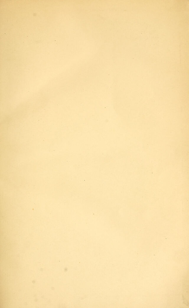 digitised image 3